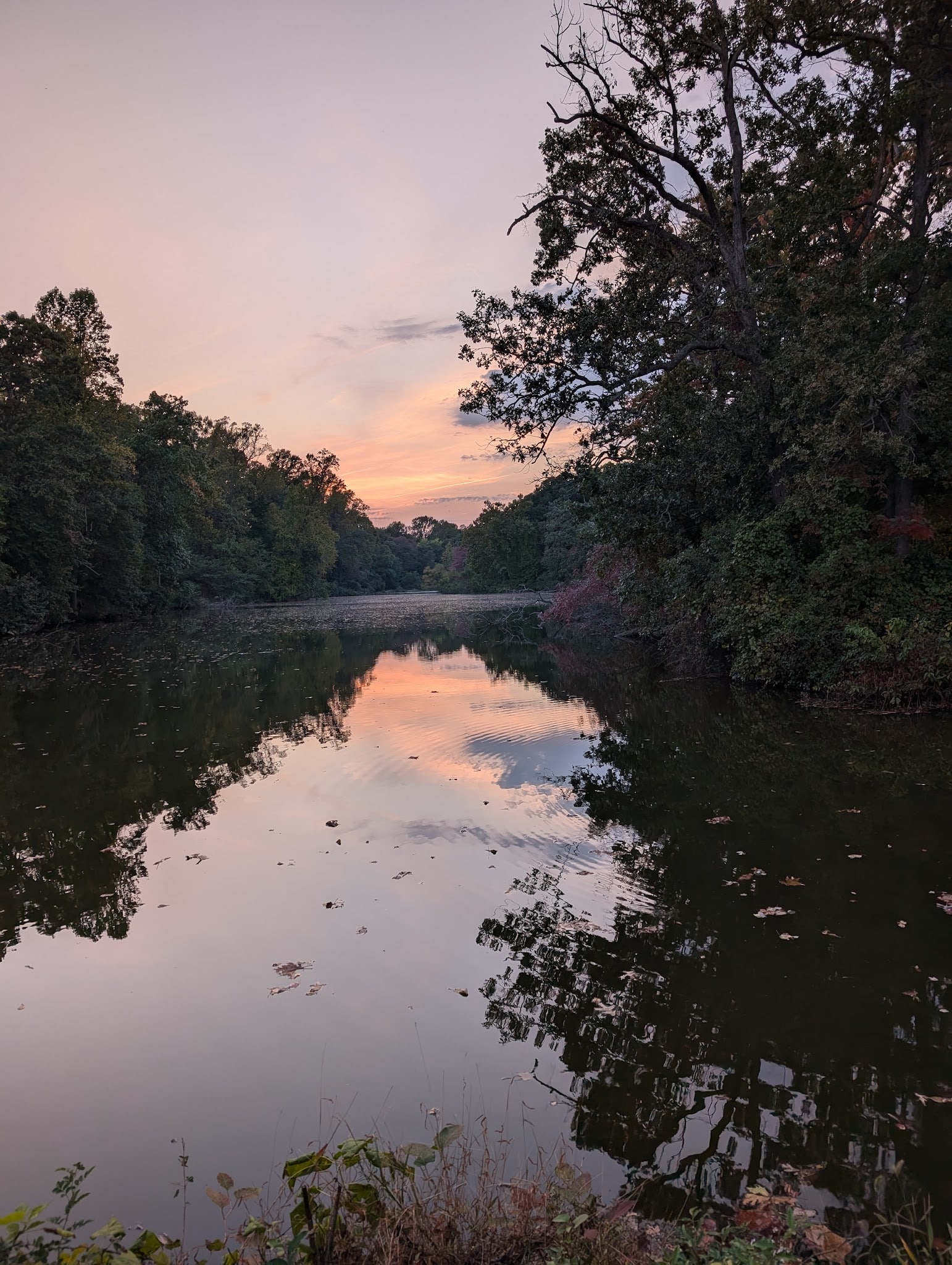 Bridgeton Dog Park - Bridgeton, NJ