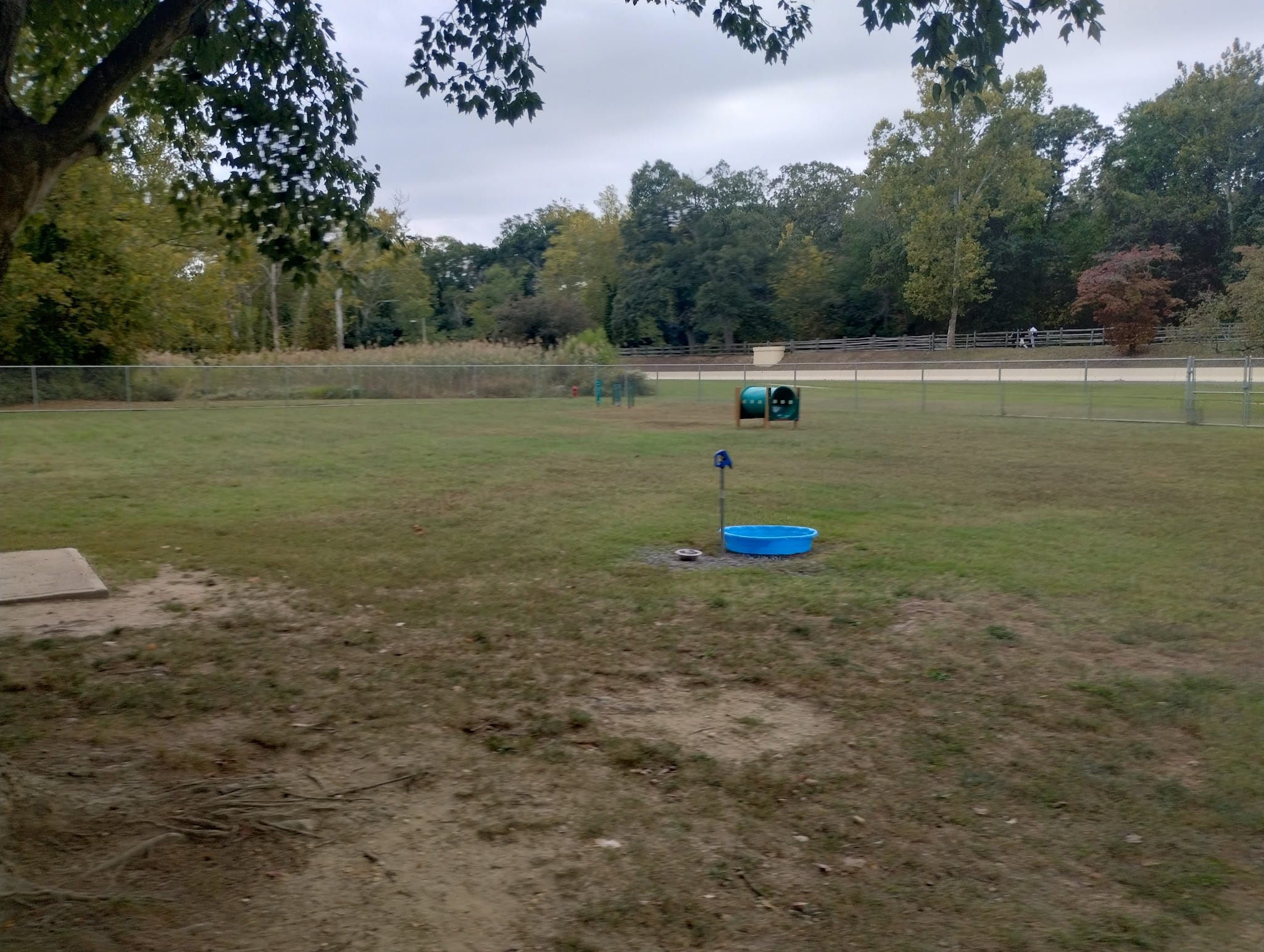 Bridgeton Dog Park - Bridgeton, NJ