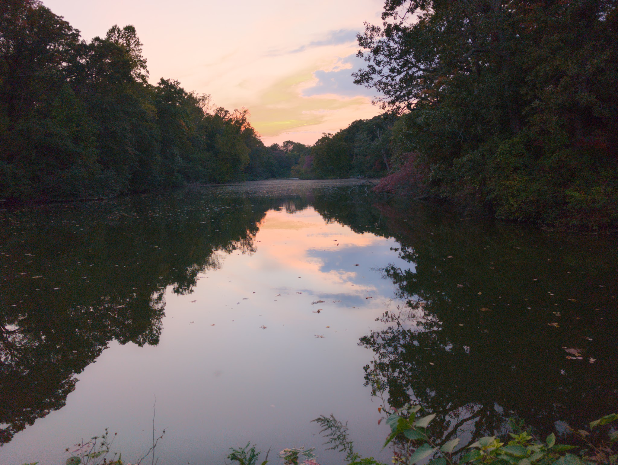 Bridgeton Dog Park - Bridgeton, NJ