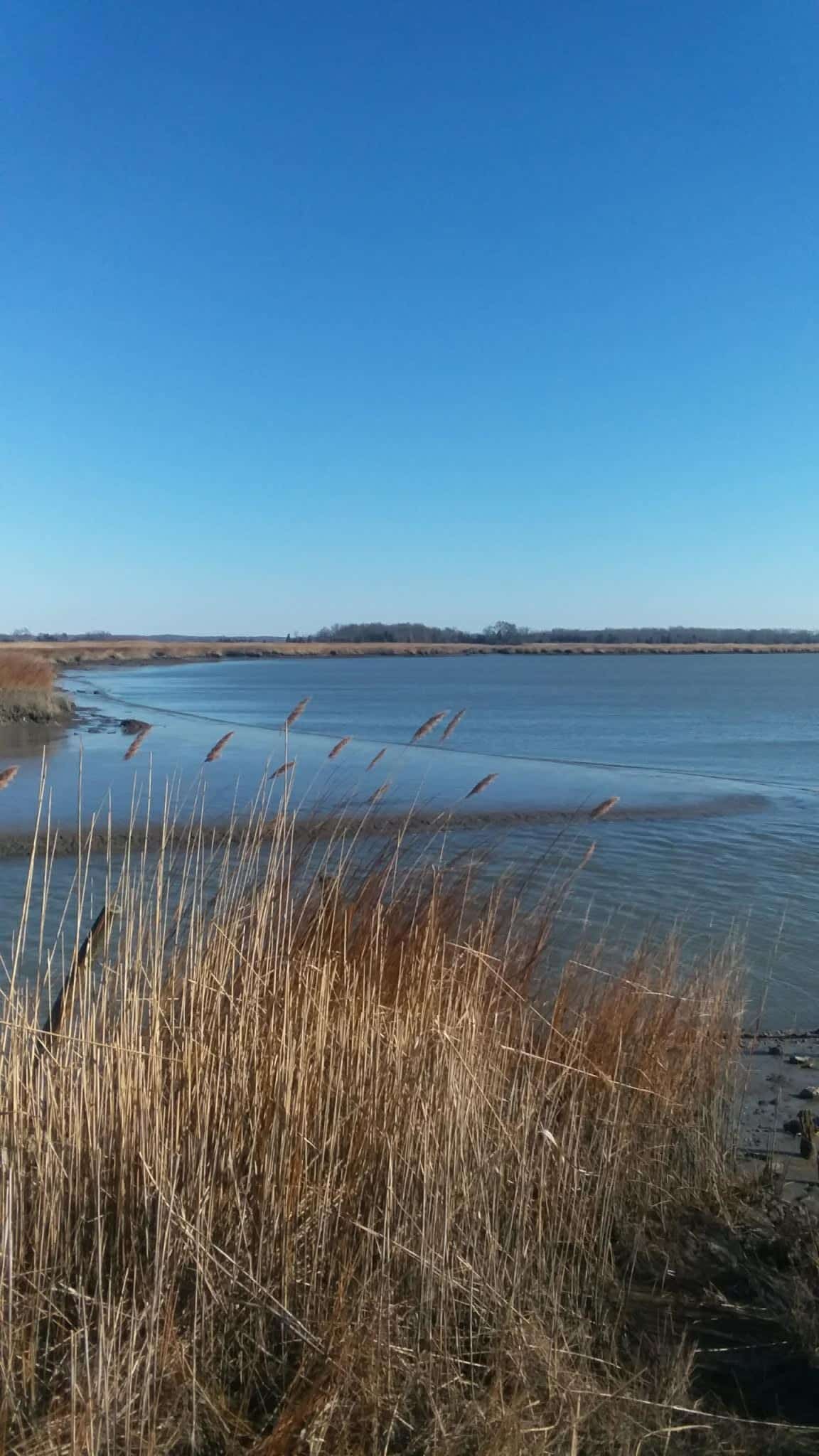 Cohansey River Wildlife Management Area - Bridgeton, NJ