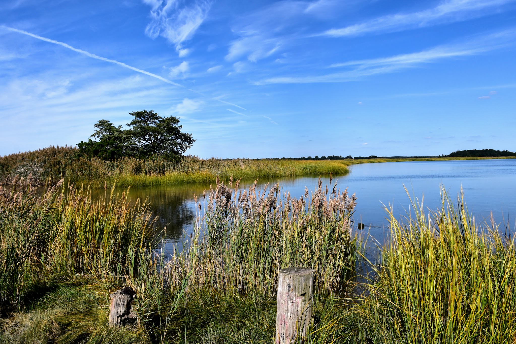 Cohansey River Wildlife Management Area - Bridgeton, NJ
