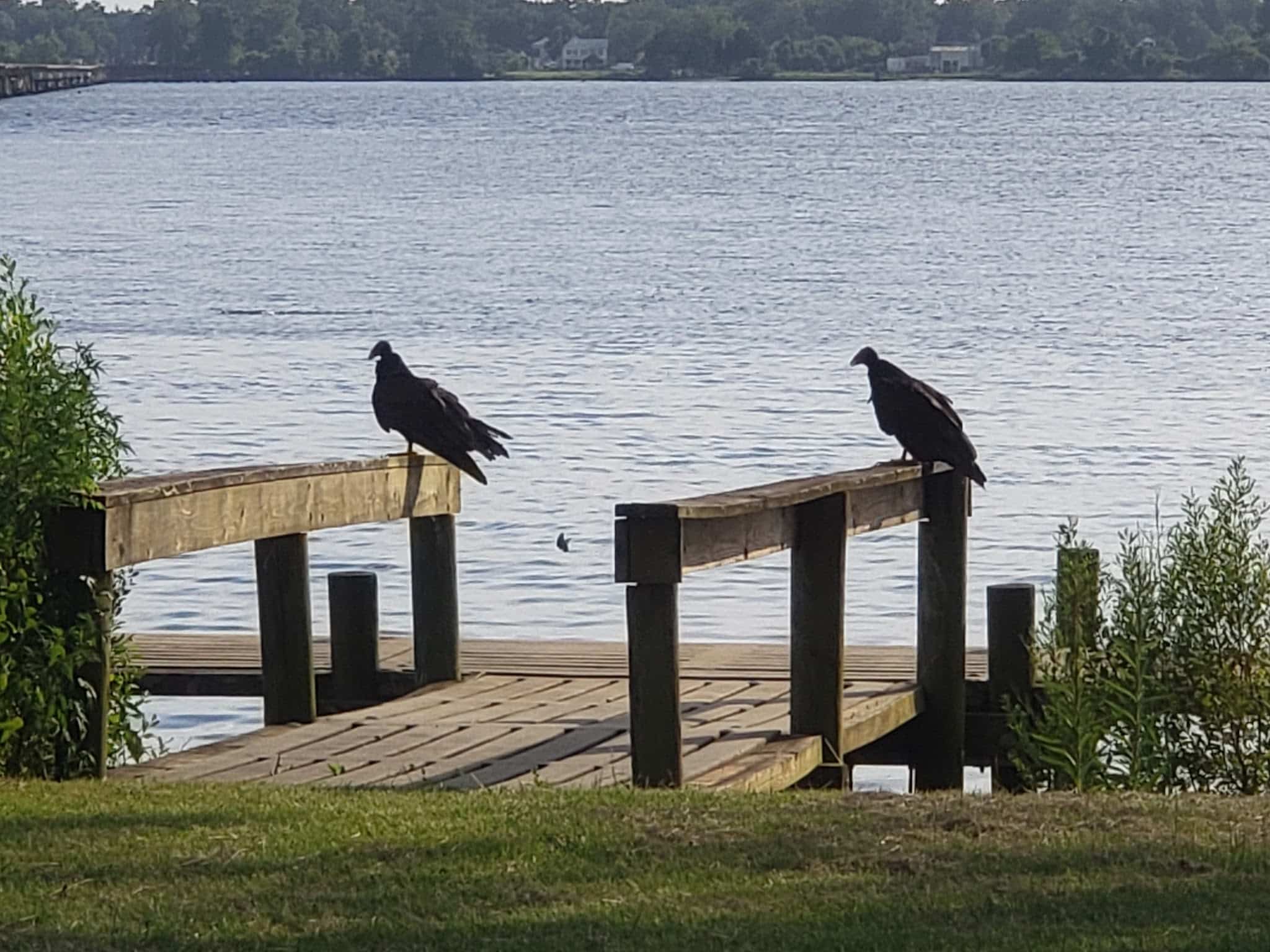 Town Of Bridgeton Park - Bridgeton, NC