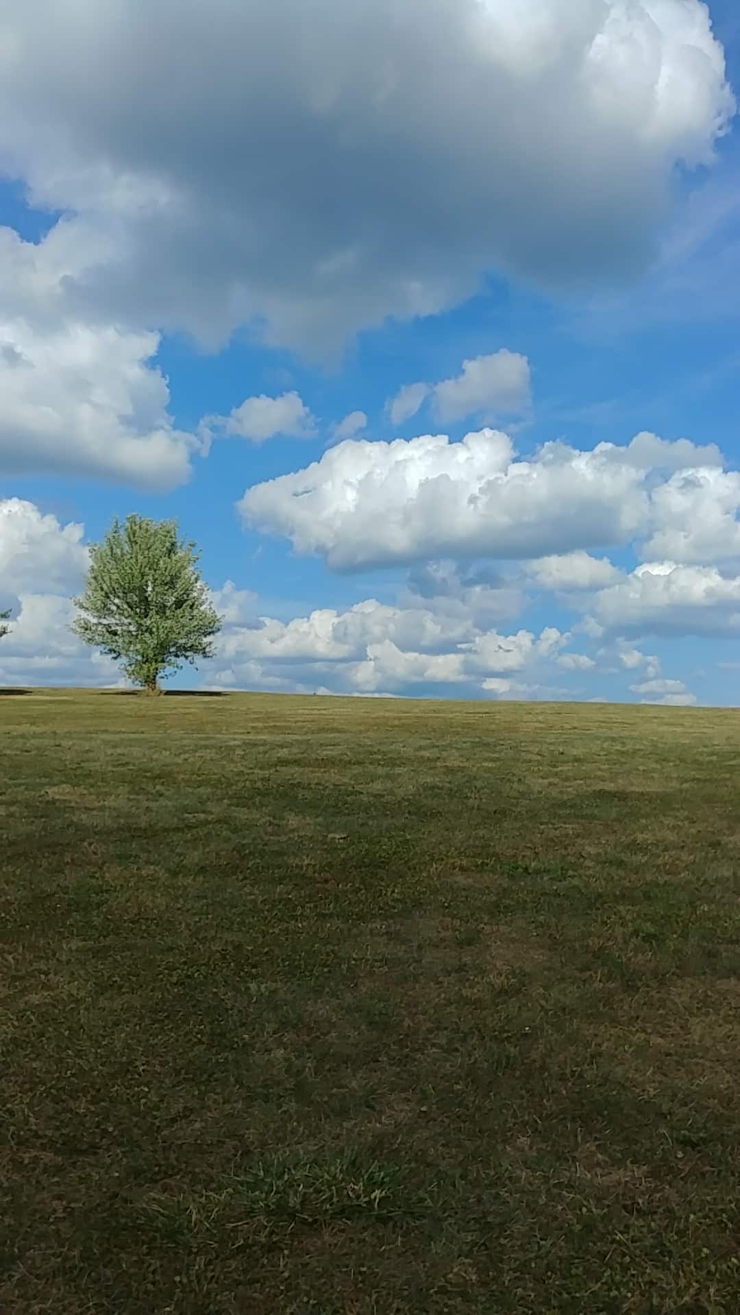 Fairview Park - Bridgeville, PA