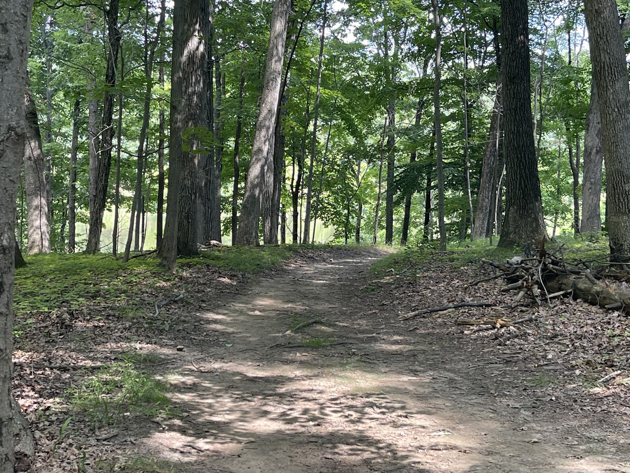 Washington Valley Park - Bridgewater, NJ