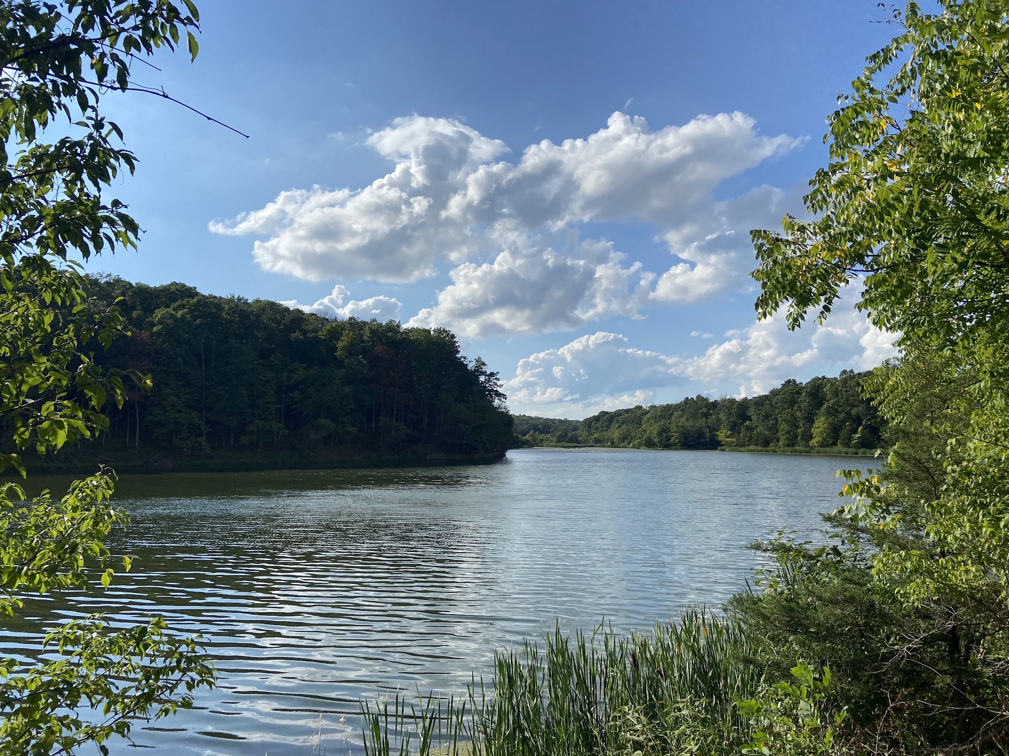 Washington Valley Park - Bridgewater, NJ
