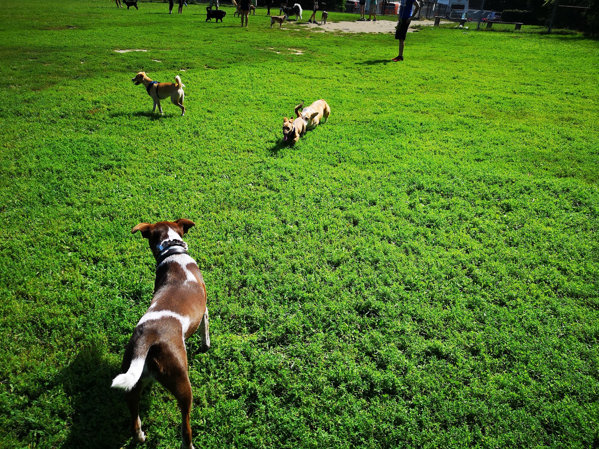 Hunnewell Playground - Brighton, MA
