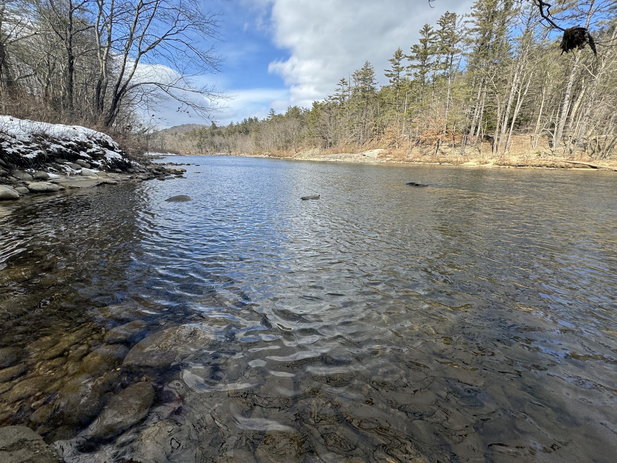 Pemi Trail - Bristol - Bristol, NH