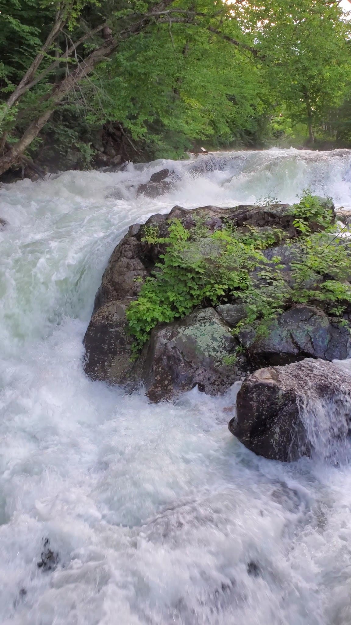 Pemi Trail - Bristol - Bristol, NH