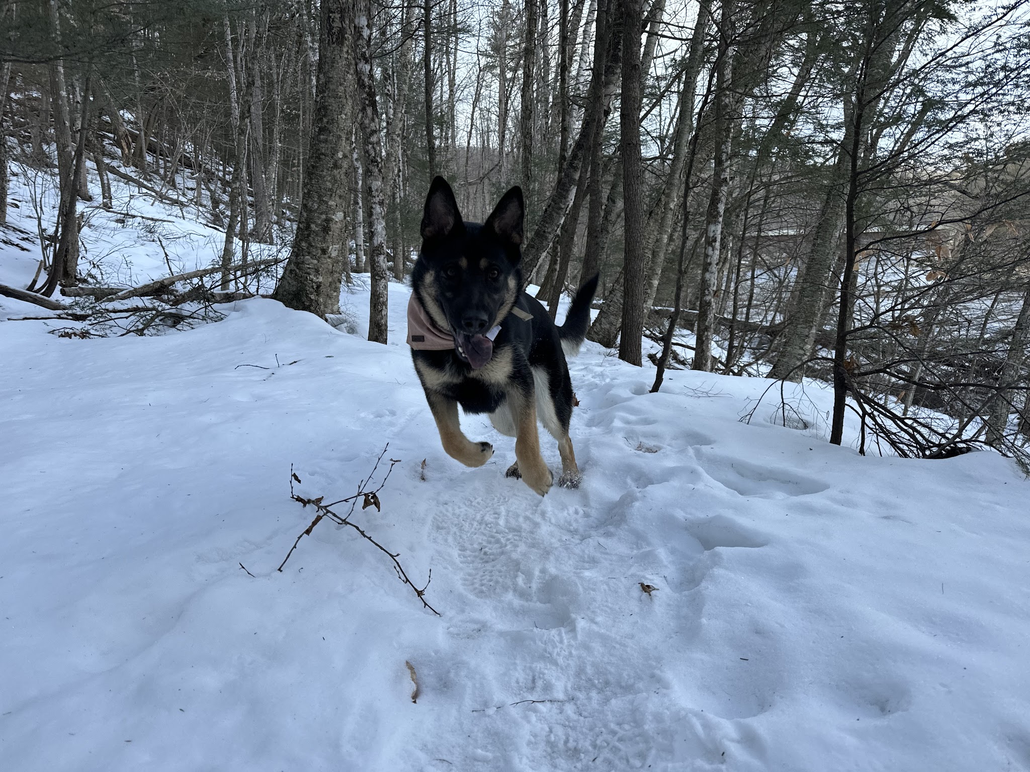 Pemi Trail - Bristol - Bristol, NH