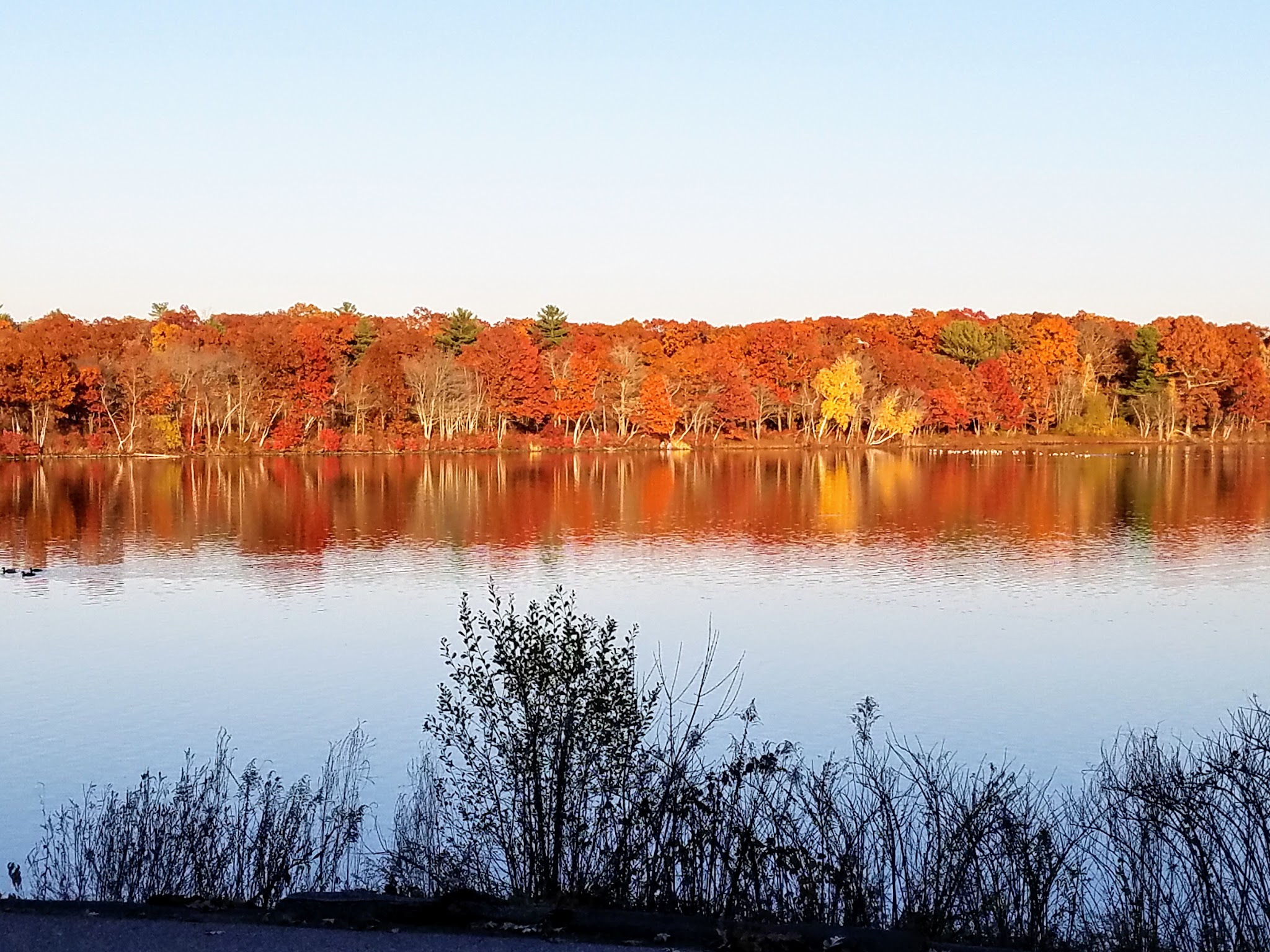 D.W. Field Park - Brockton, MA