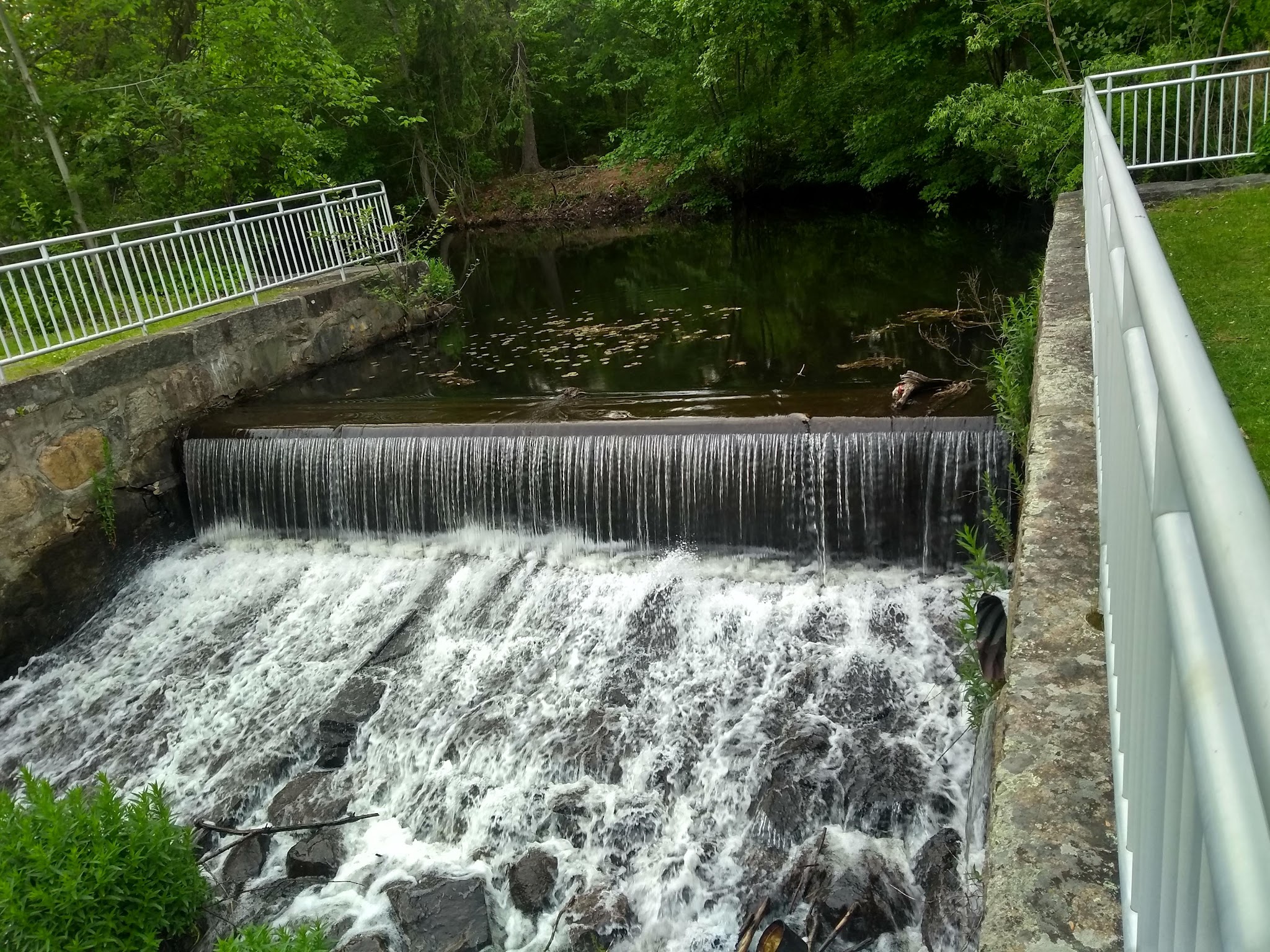 D.W. Field Park - Brockton, MA