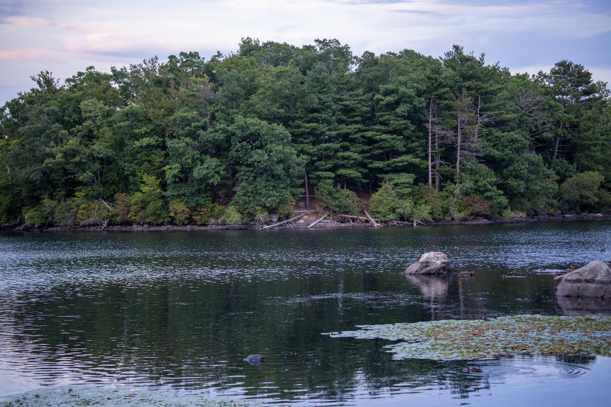 D.W. Field Park - Brockton, MA