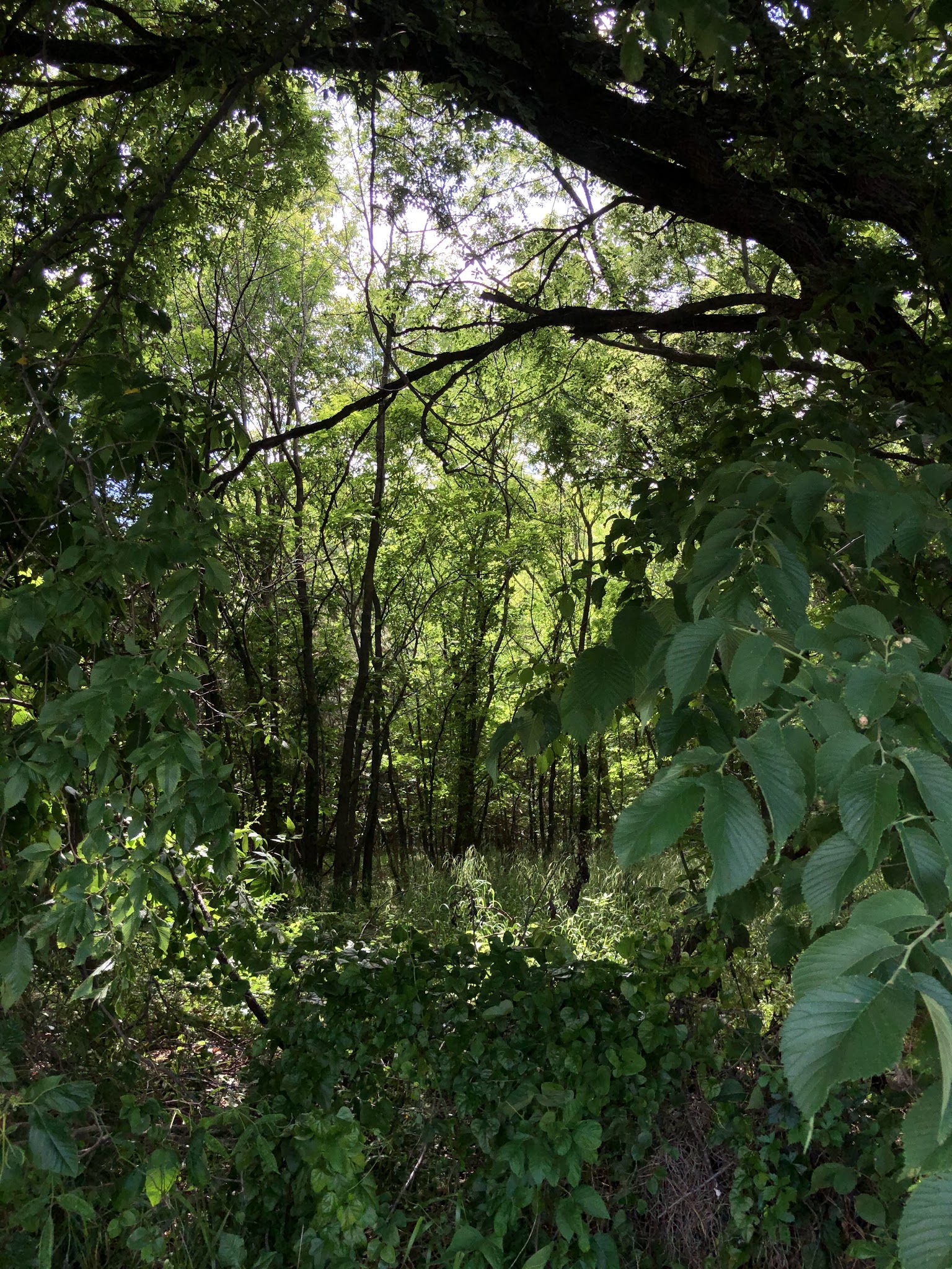 Liberty Trailhead NSU - Broken Arrow, OK