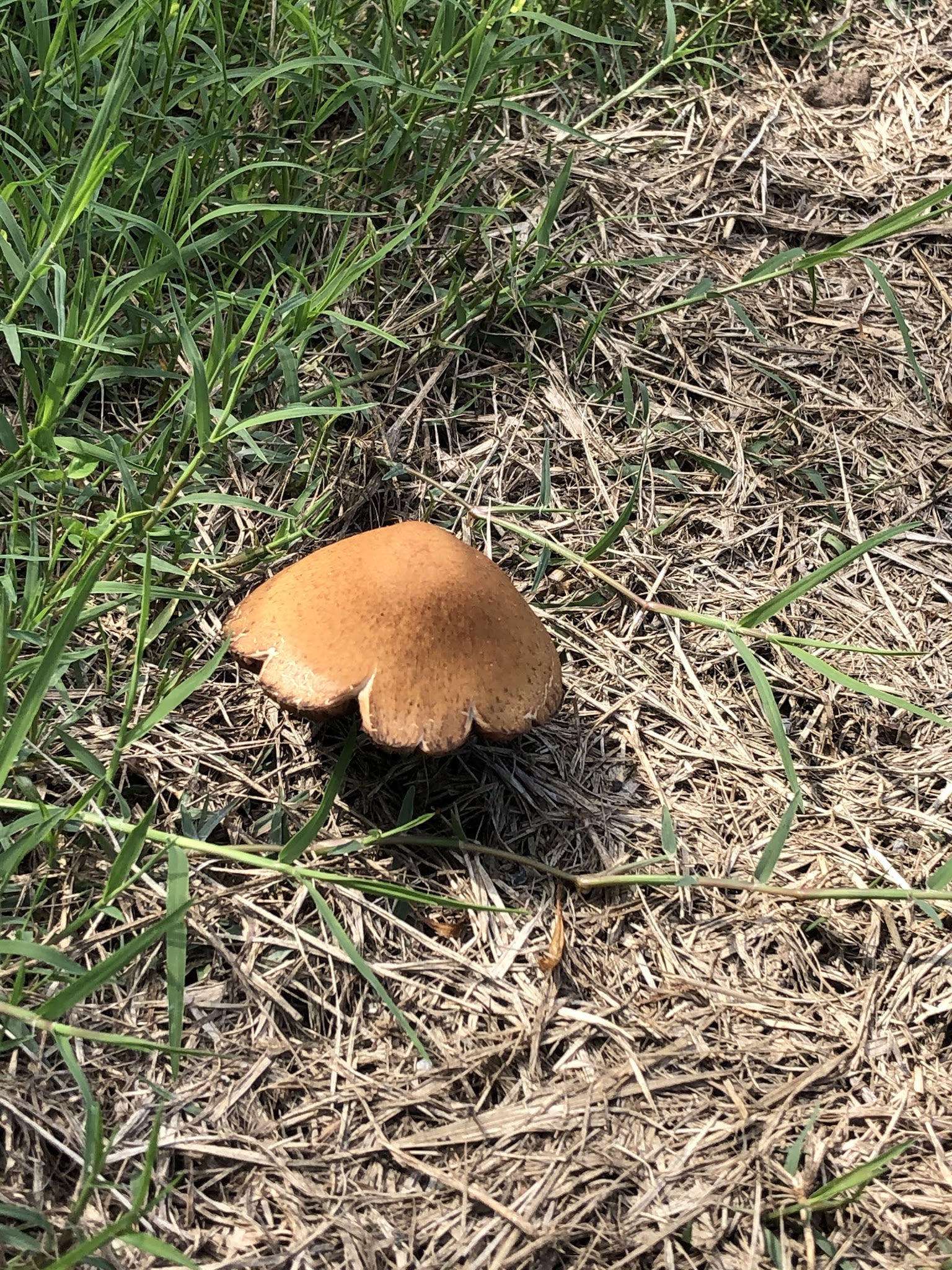 Liberty Trailhead NSU - Broken Arrow, OK
