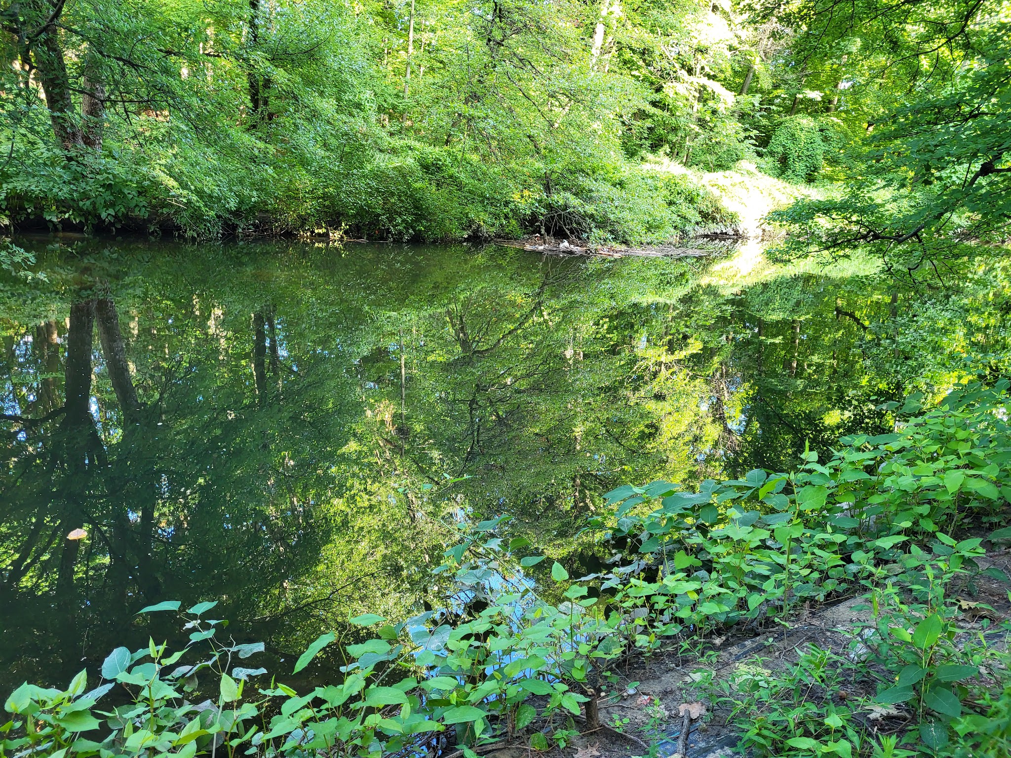 Bronx Park - Bronx, NY