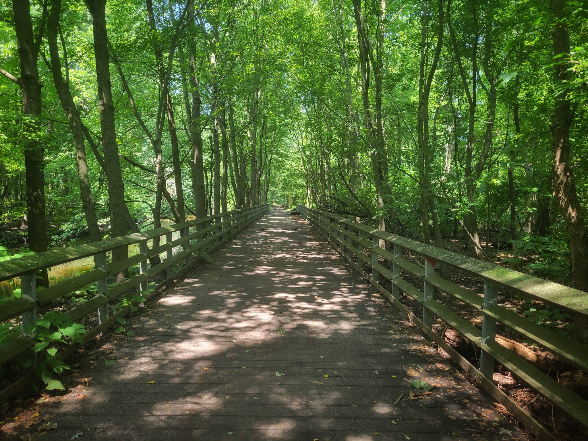 Bronx Park - Bronx, NY