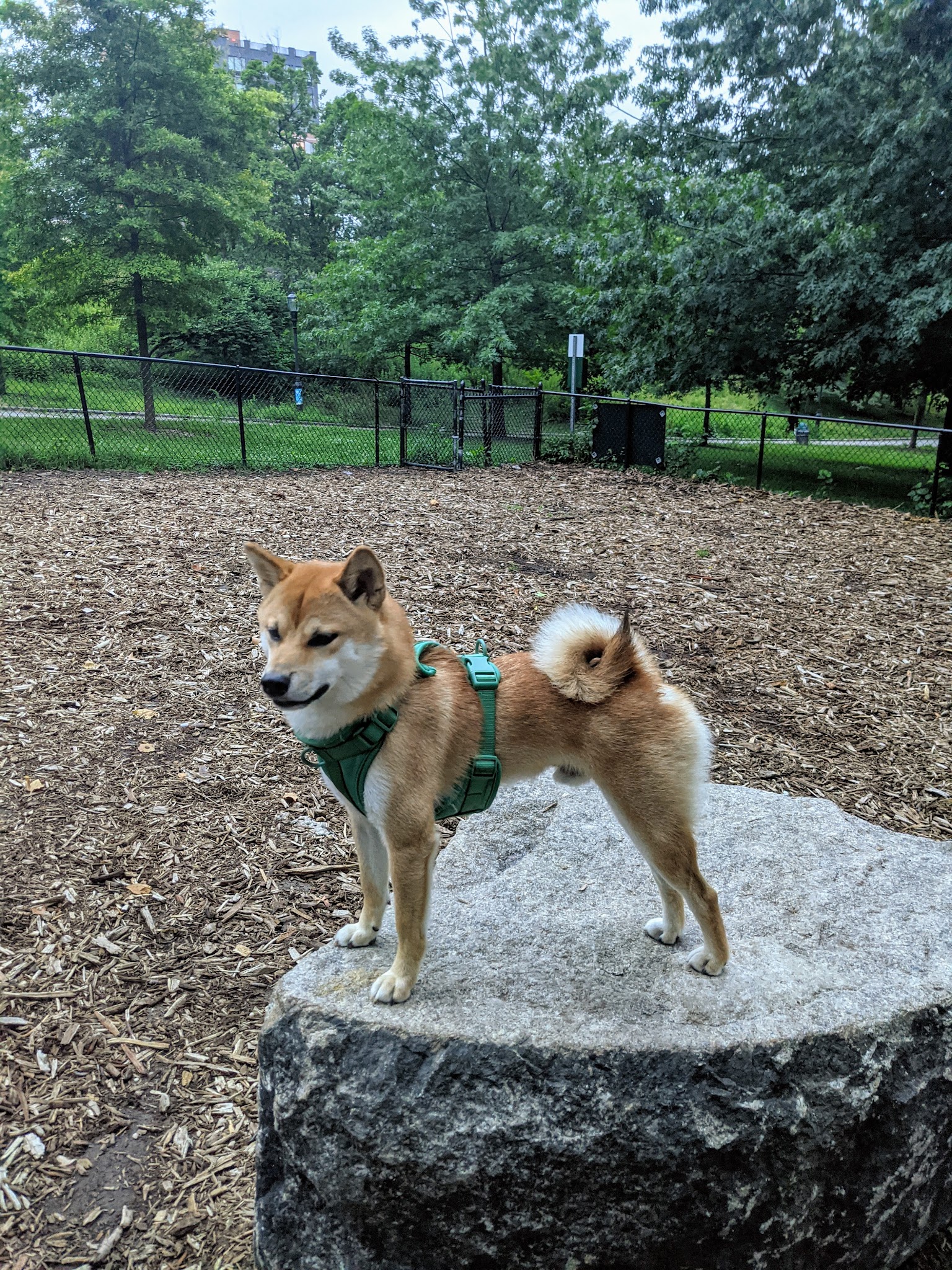 Franz Sigel Dog Run - Bronx, NY