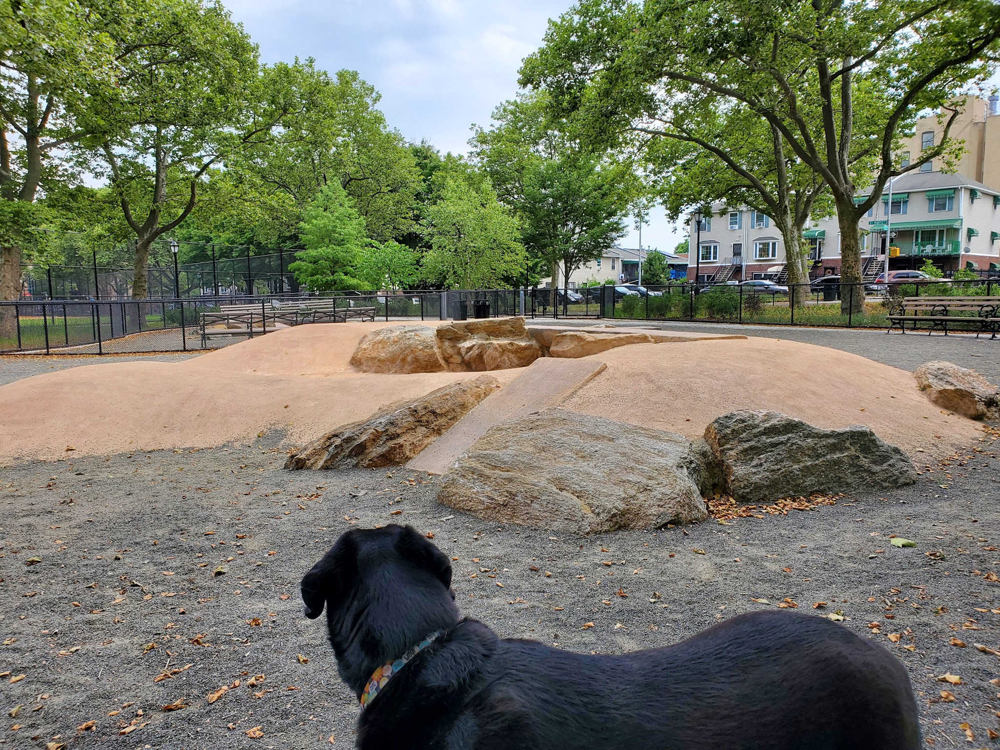 St. Mary's Dog Run - Bronx, NY