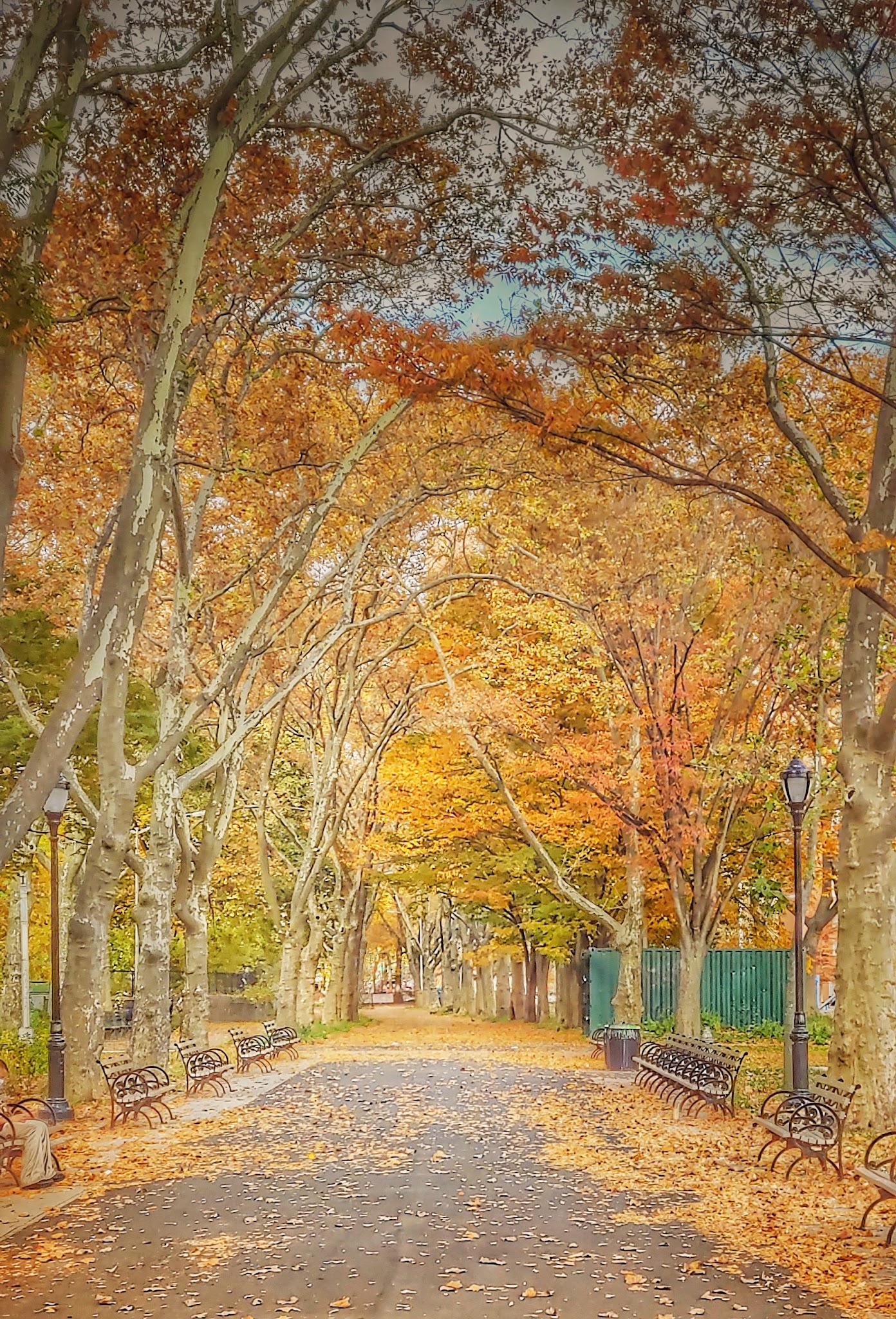 St. Mary's Dog Run - Bronx, NY