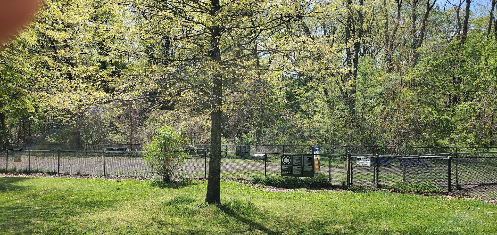 Dog park - Bronx, NY