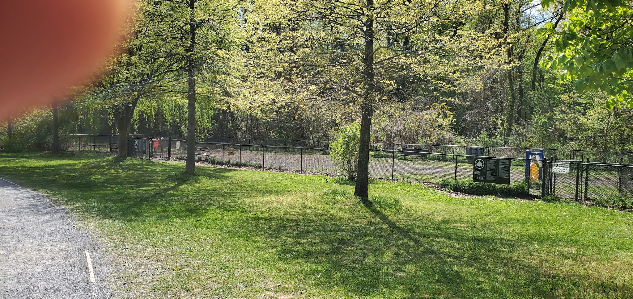 Dog park - Bronx, NY