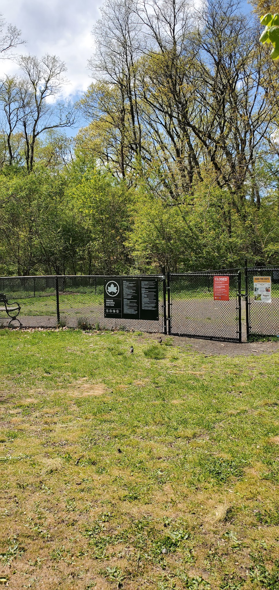 Dog park - Bronx, NY