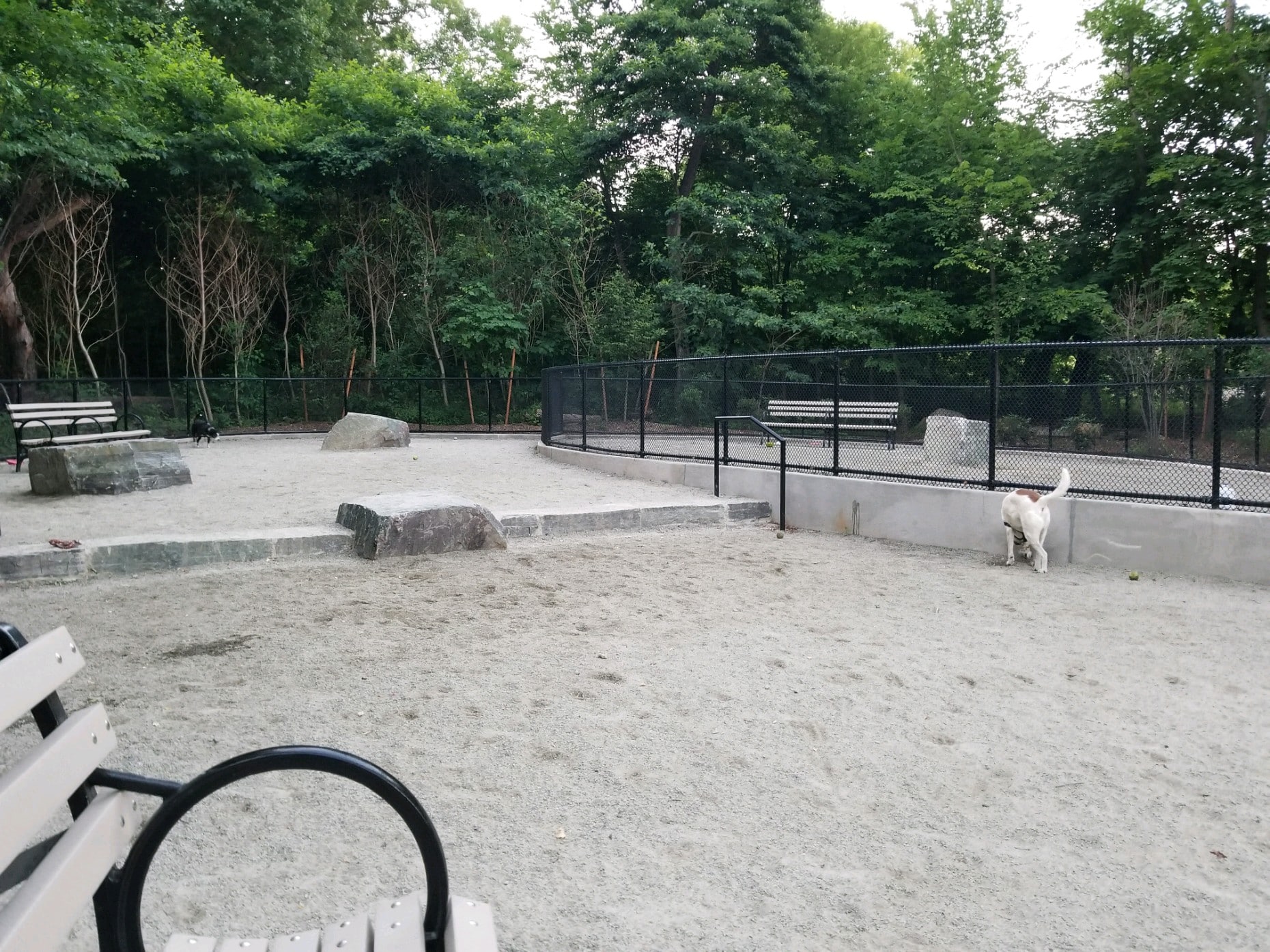 Oneida Run - Bronx, NY