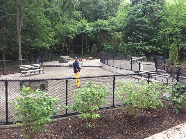 Oneida Run - Bronx, NY