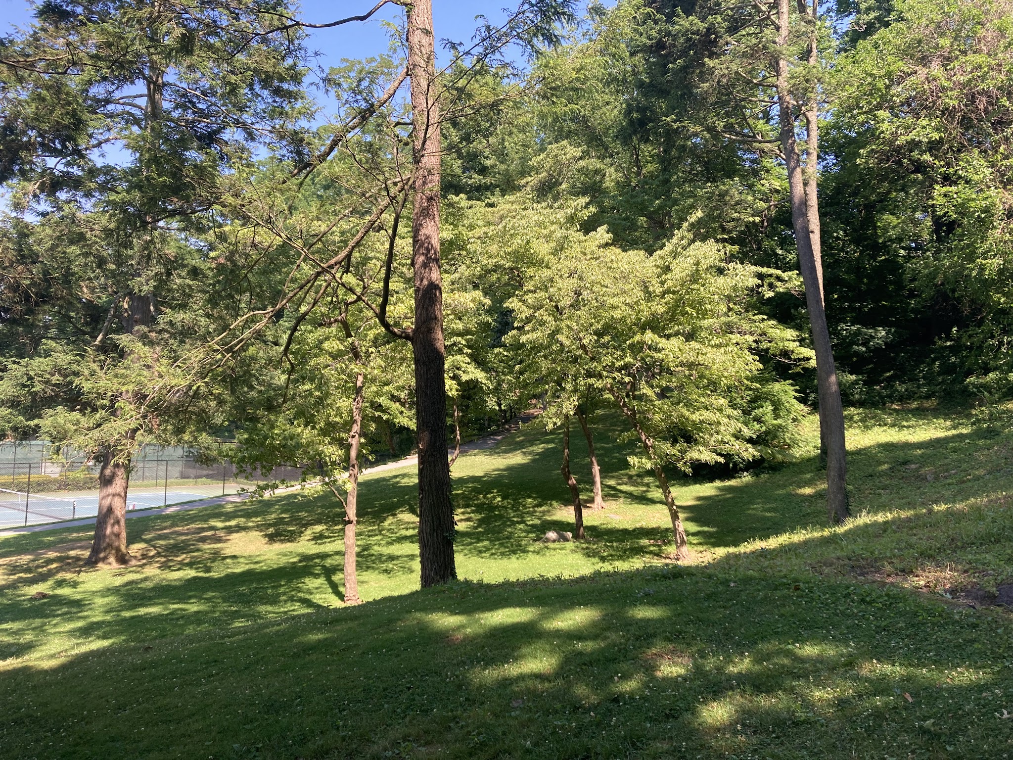 Dogwood Park - Bronxville, NY