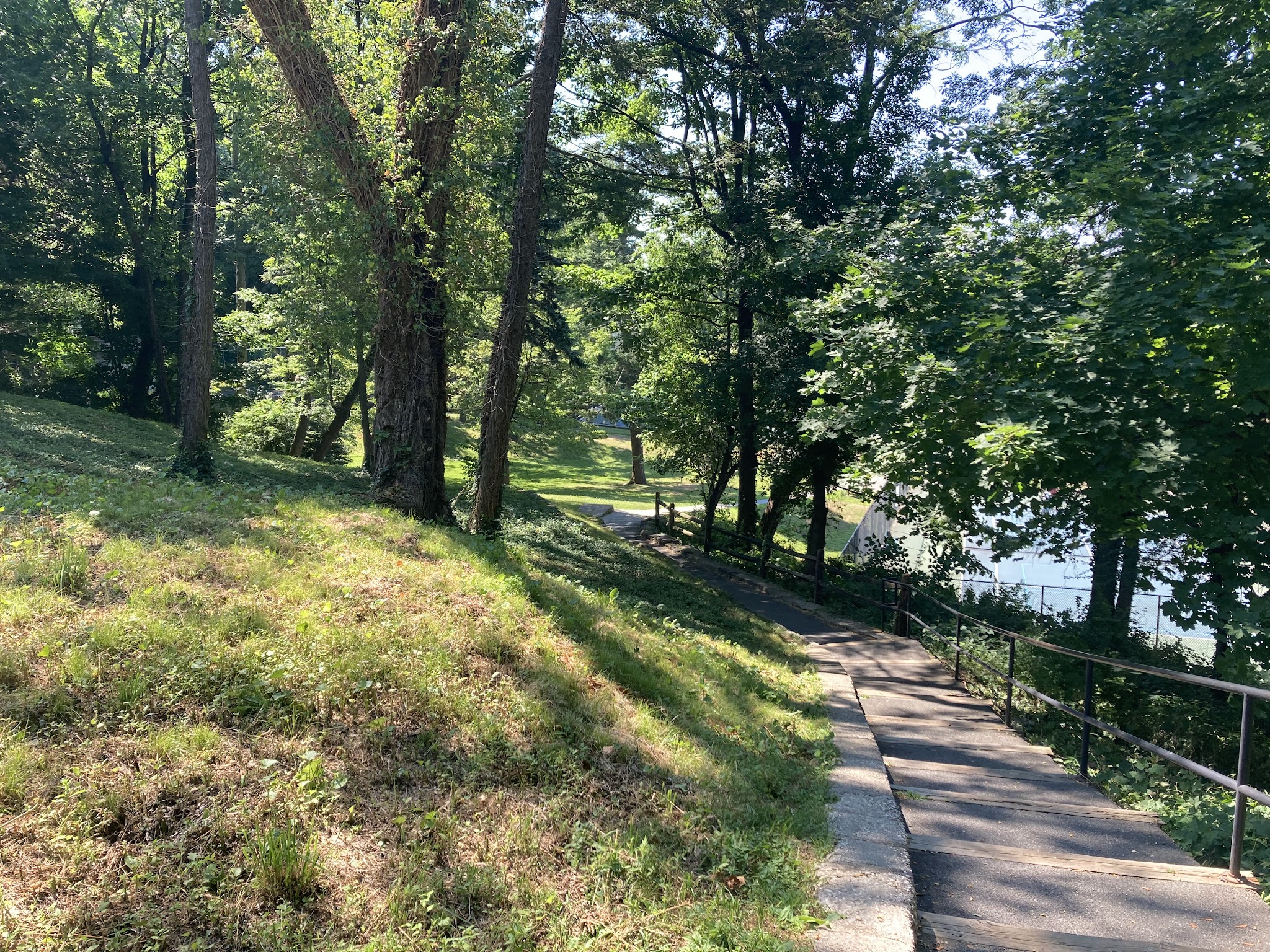 Dogwood Park - Bronxville, NY