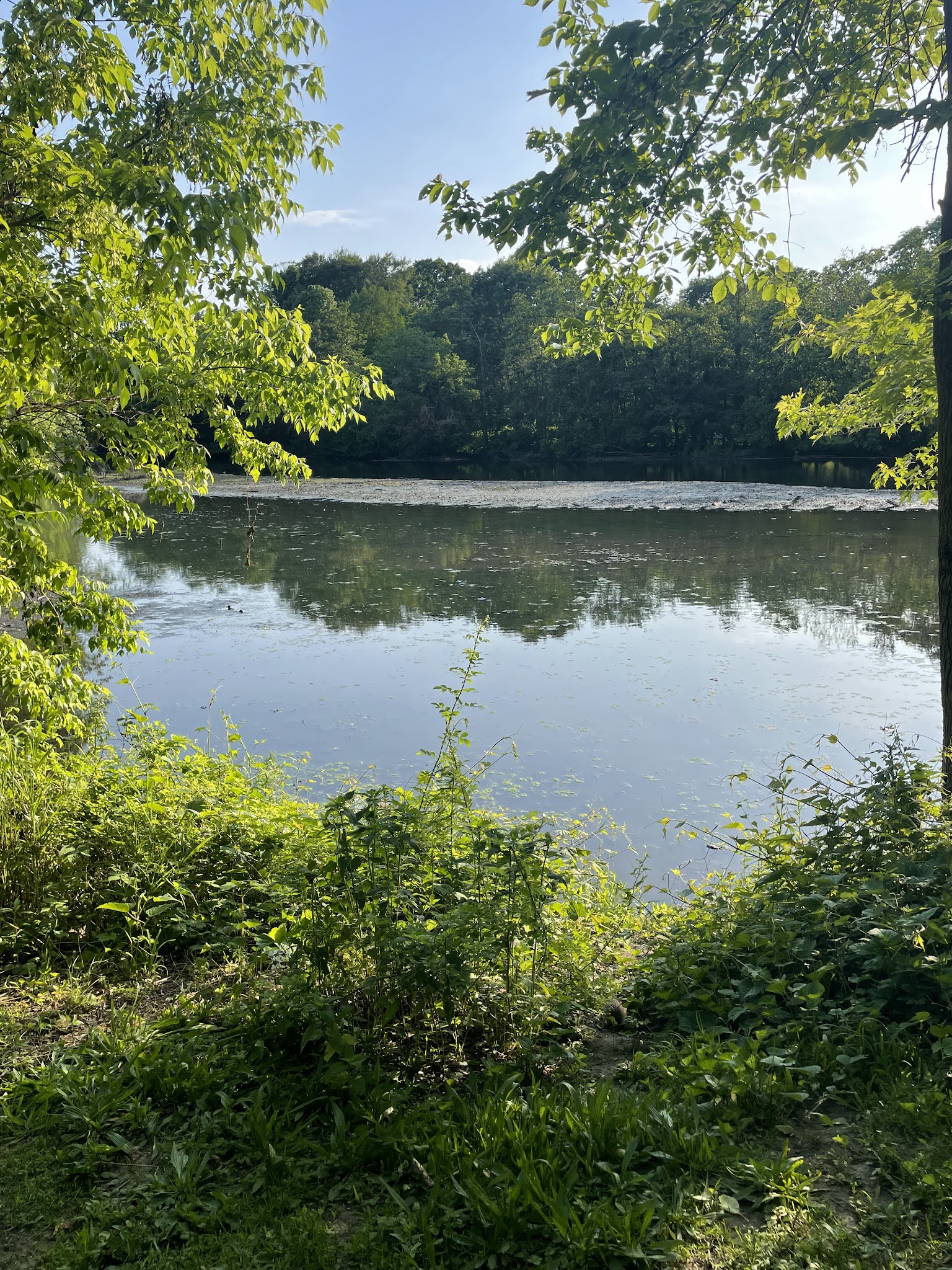 Tuckahoe Duck Pond - Bronxville, NY