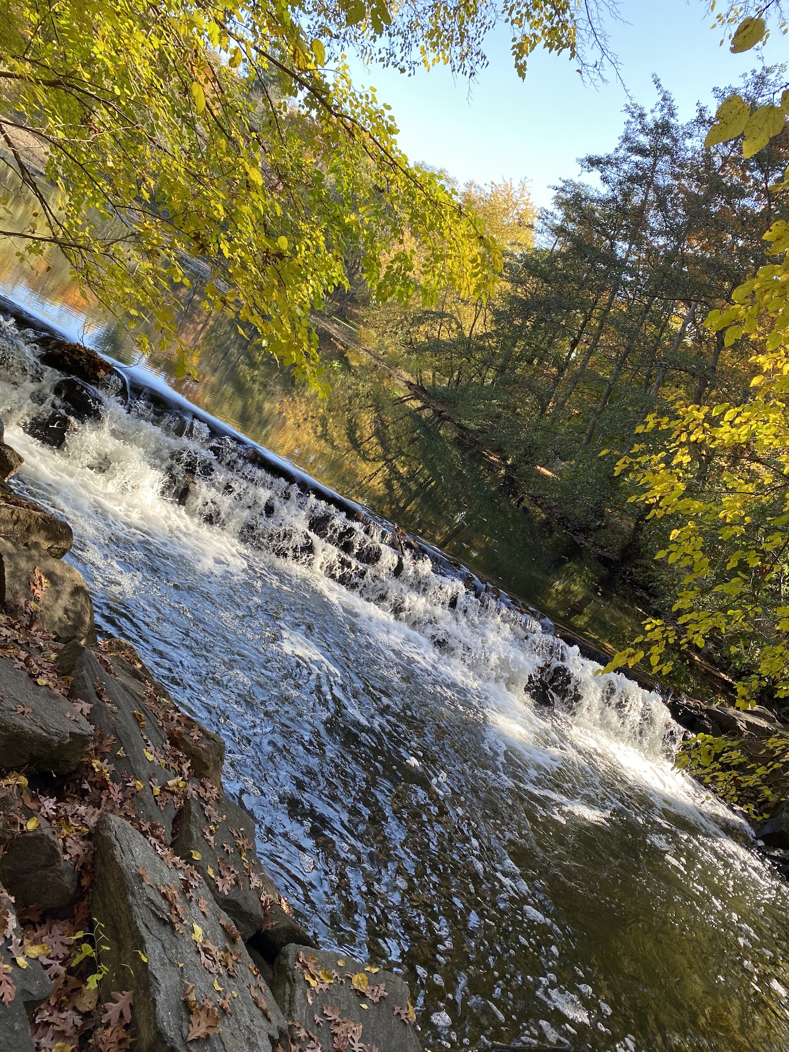 Tuckahoe Duck Pond - Bronxville, NY