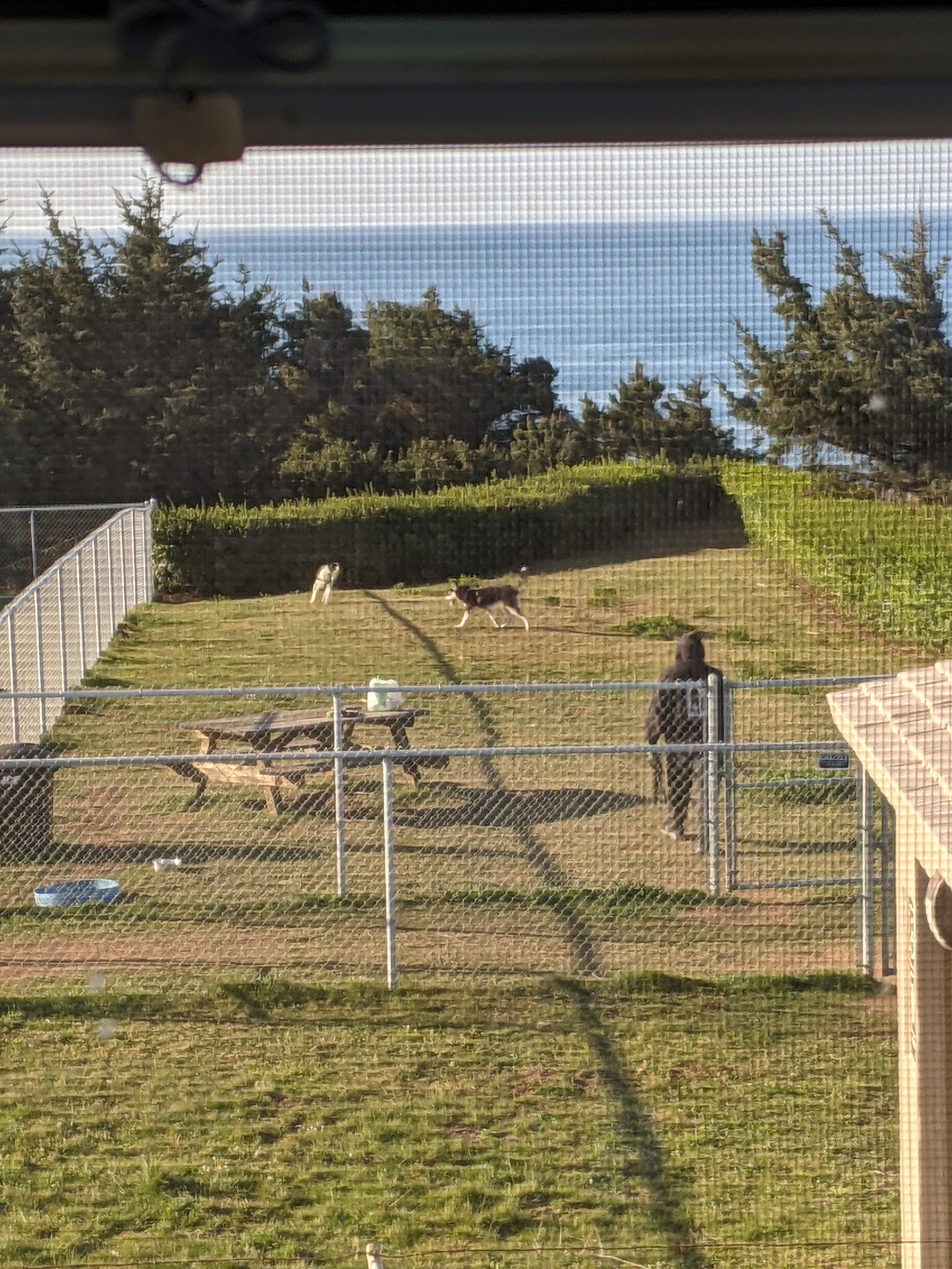 Chetco Point Dog Park - Brookings, OR