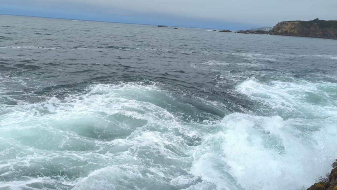 Chetco Point Dog Park - Brookings, OR