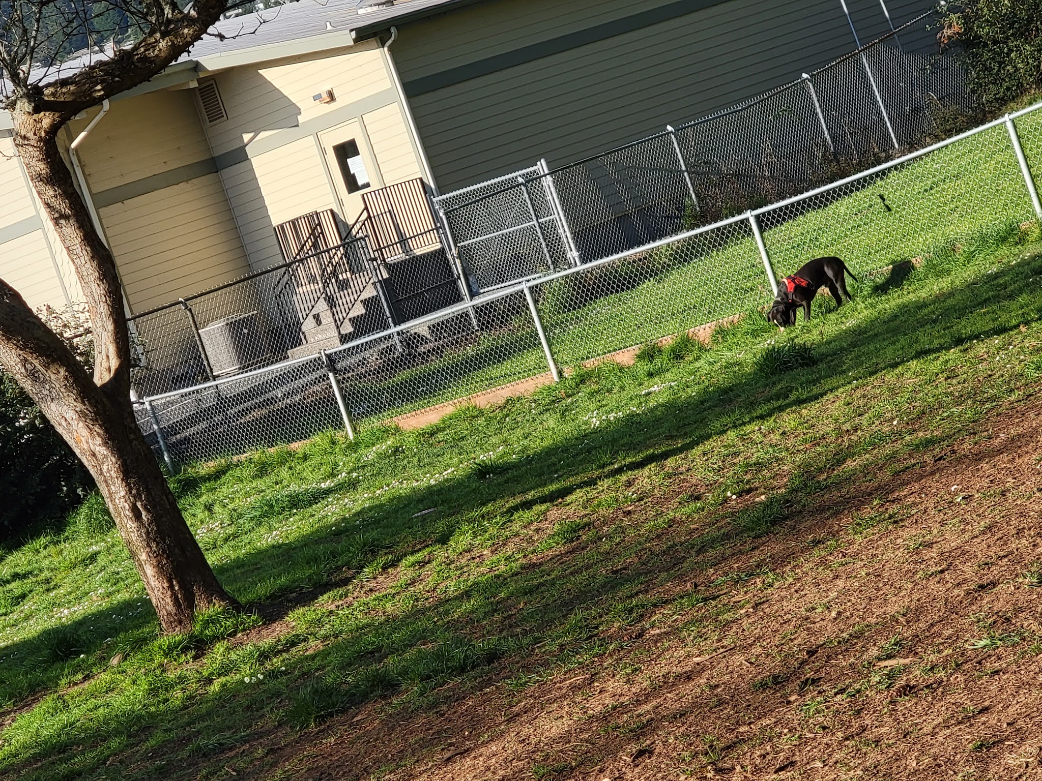 Stout Dog Park - Brookings, OR