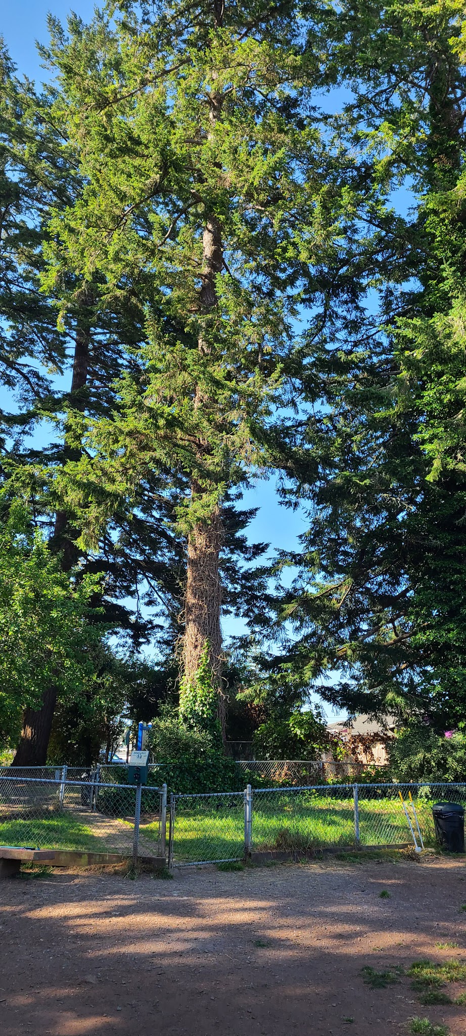 Stout Dog Park - Brookings, OR