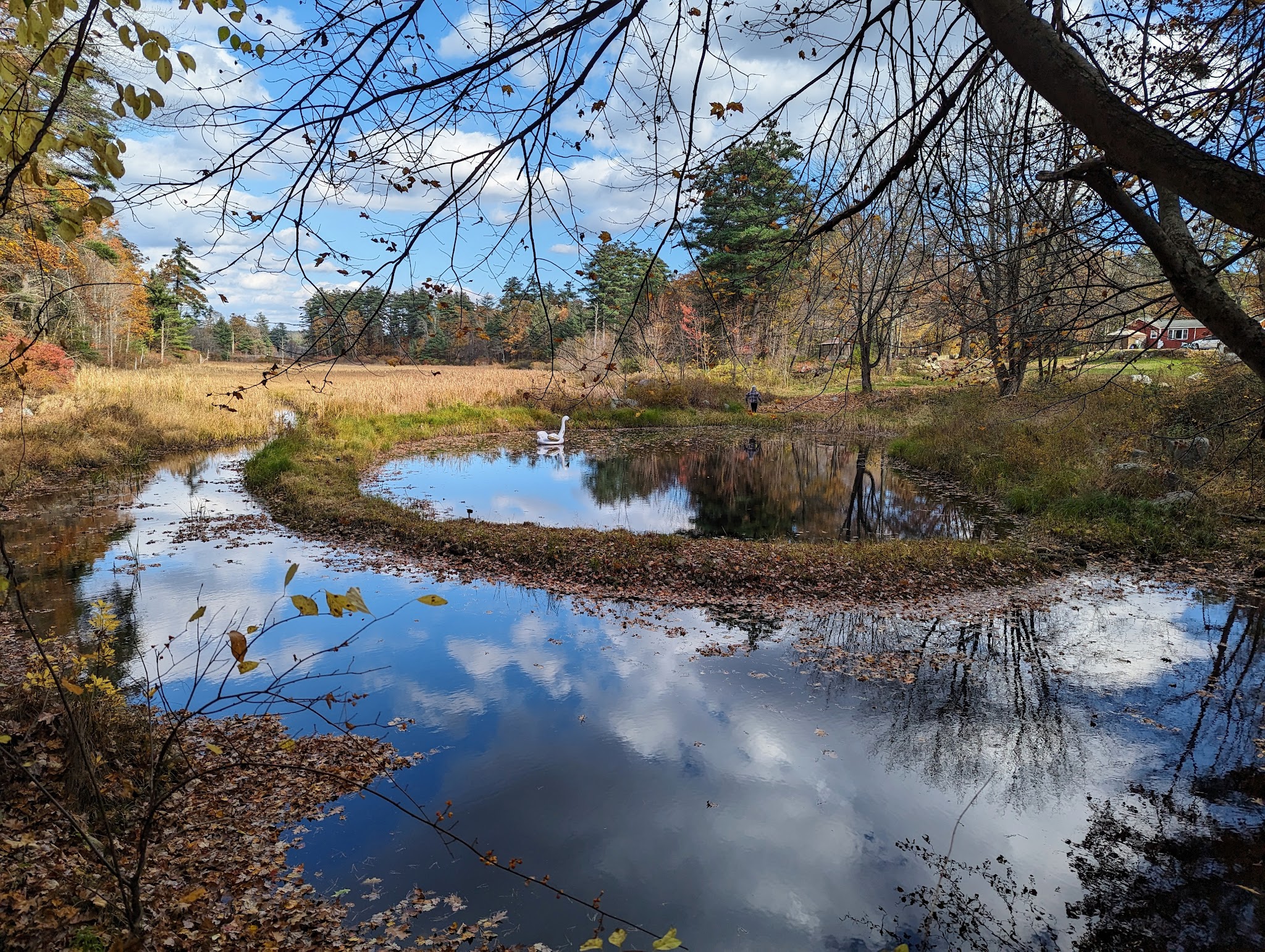 Bartell Trail Head - Brookline, NH