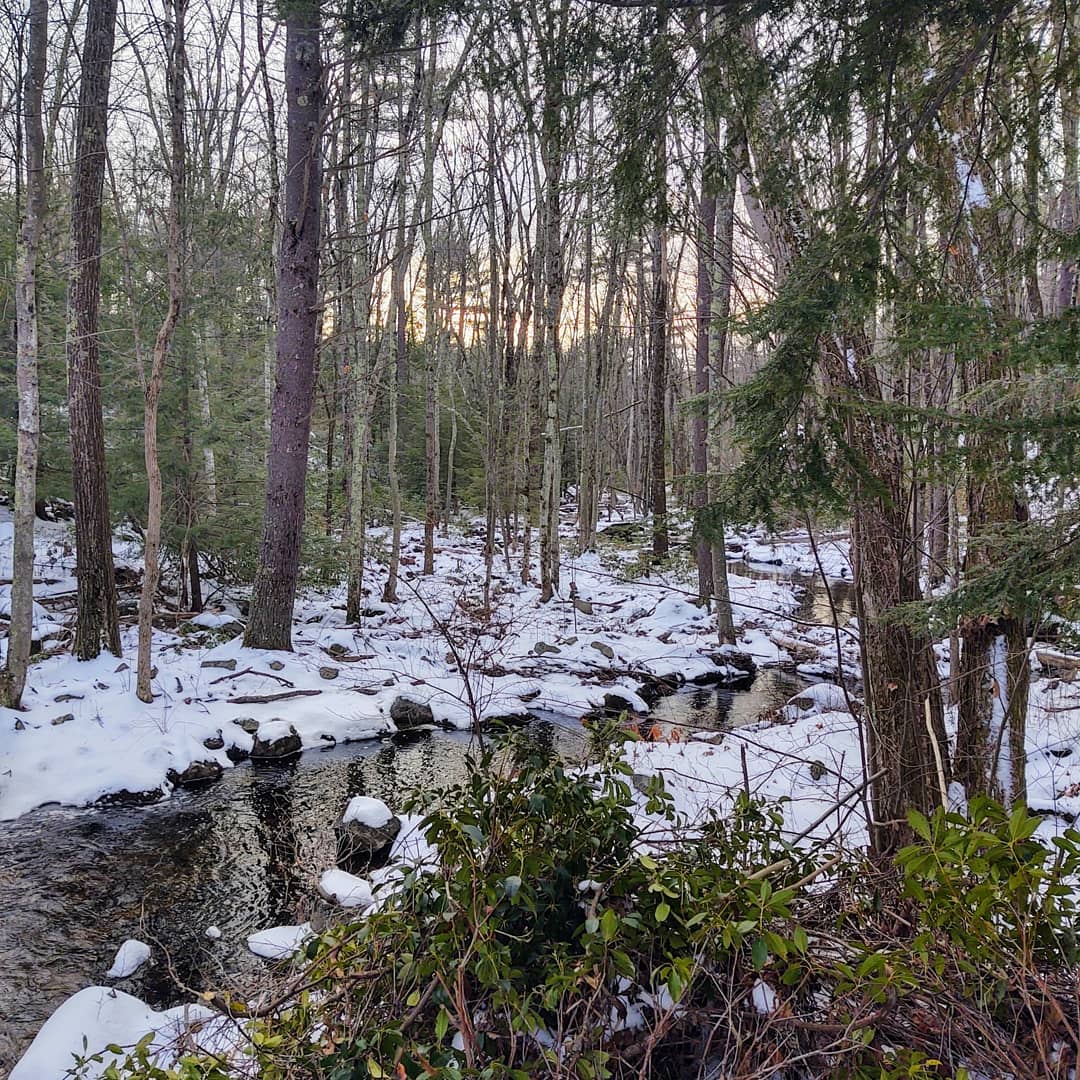 Bartell Trail Head - Brookline, NH
