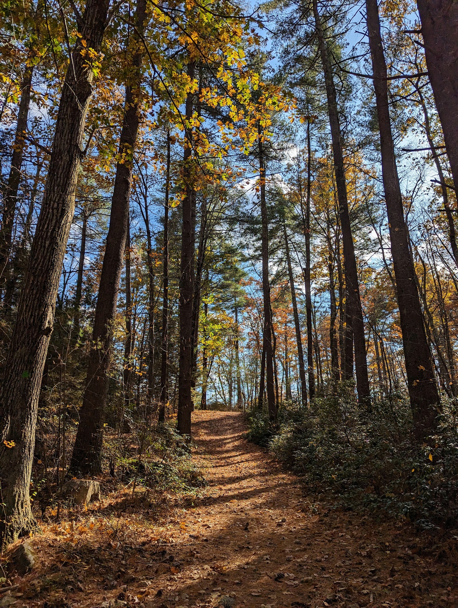 Bartell Trail Head - Brookline, NH