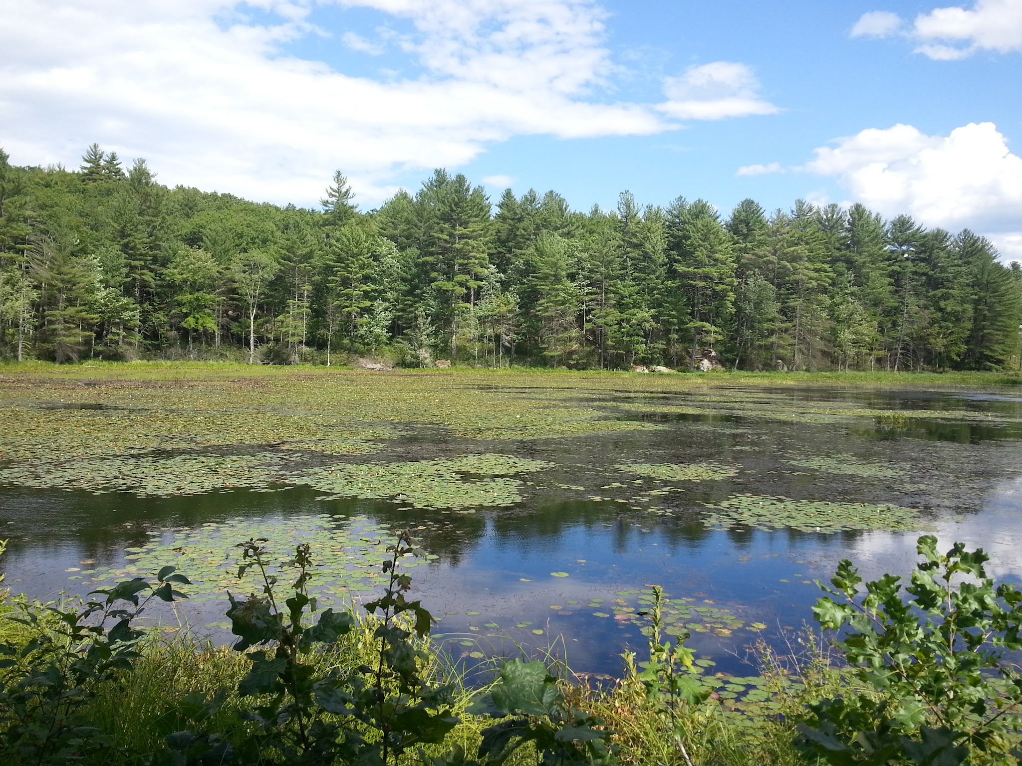 Bartell Trail Head - Brookline, NH
