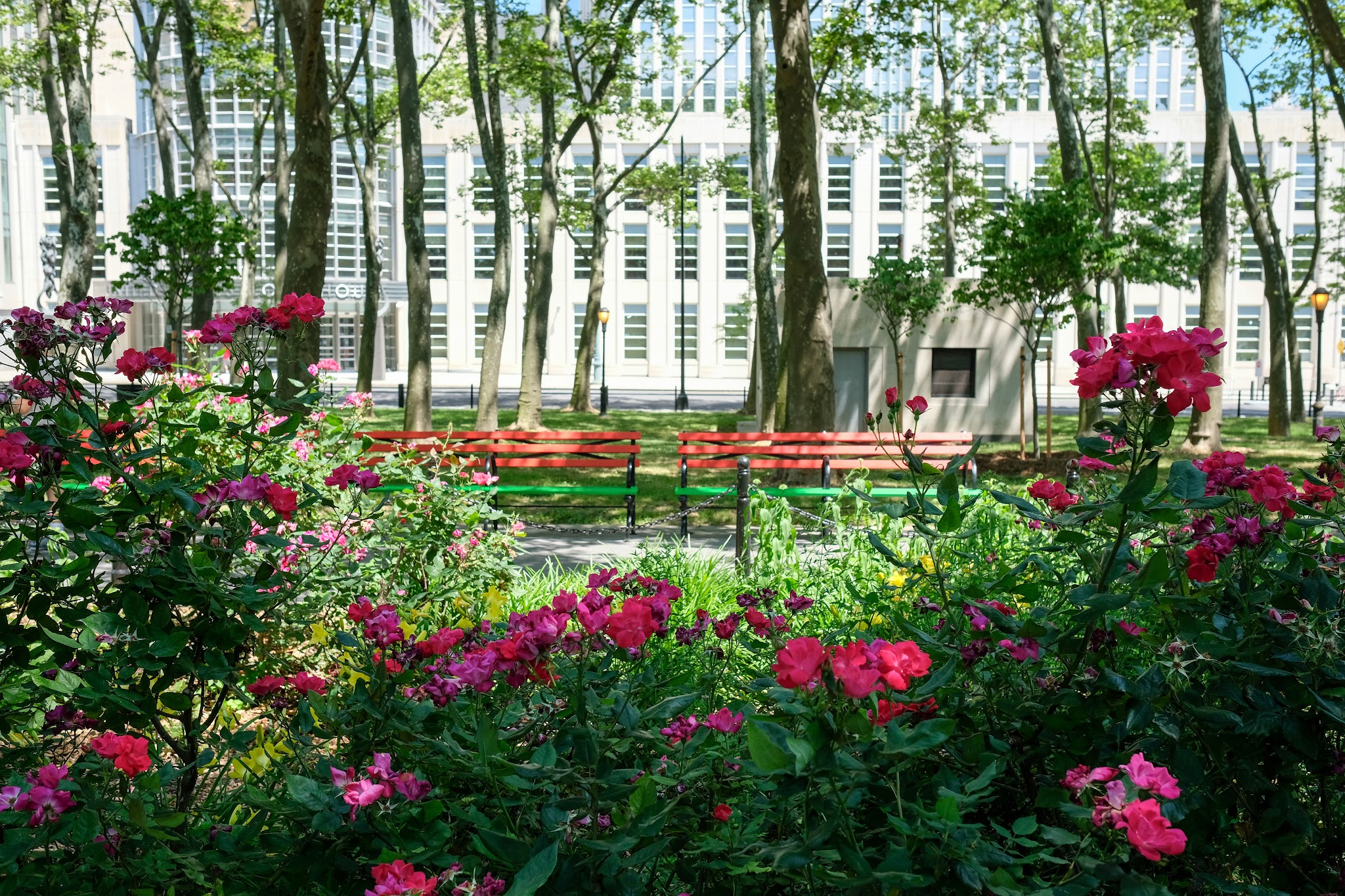 Cadman Plaza Park - Brooklyn, NY