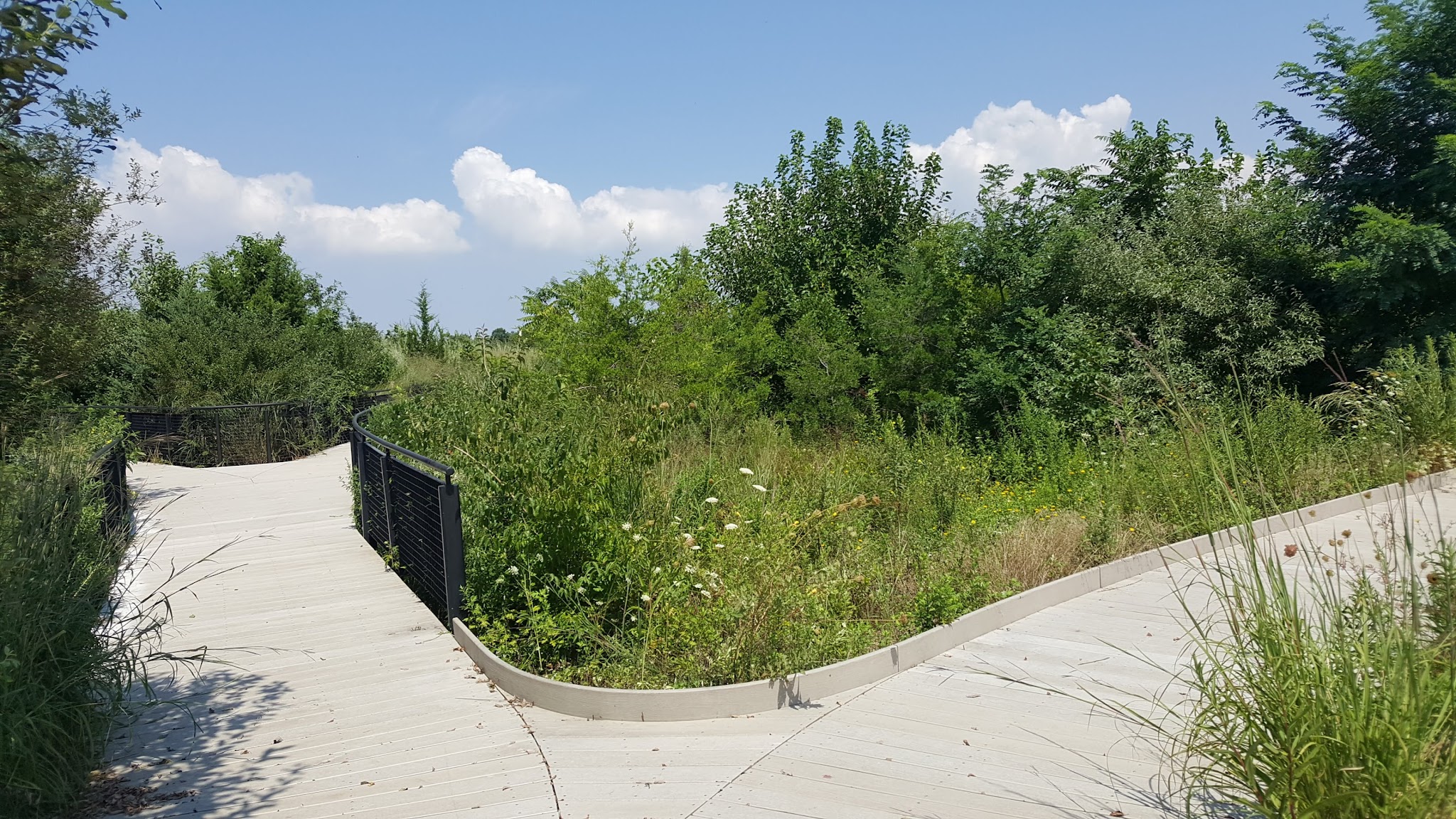 Ecology Park - Brooklyn, NY