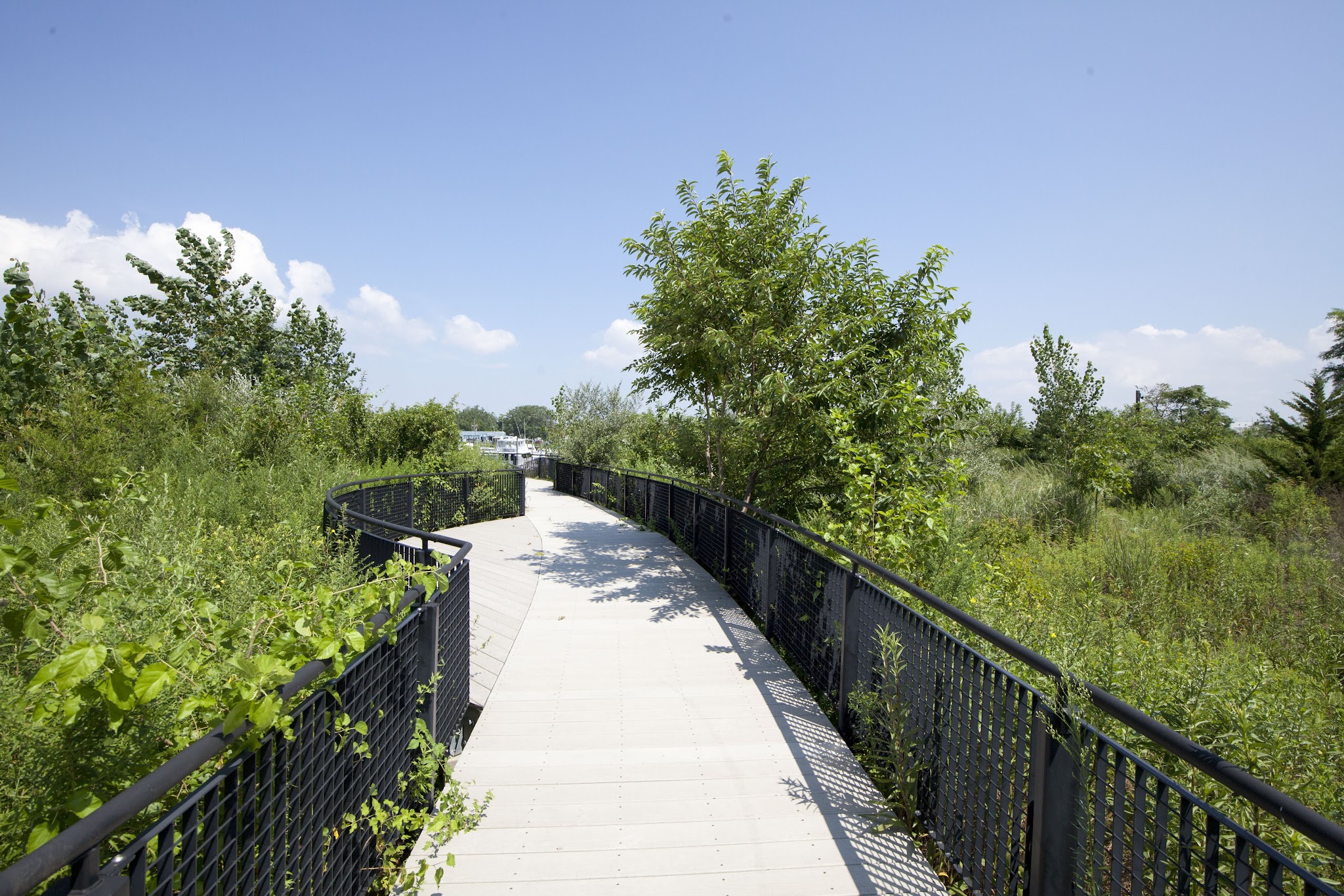 Ecology Park - Brooklyn, NY