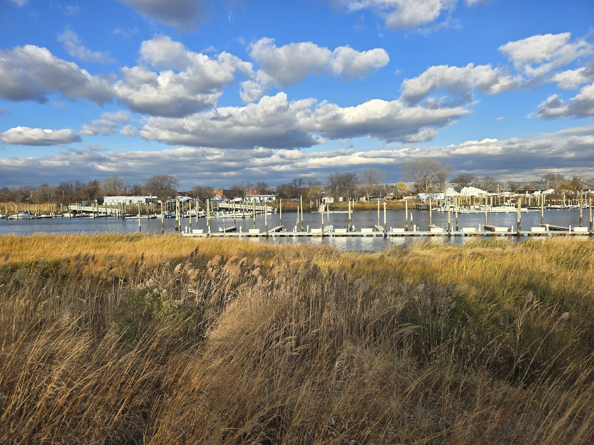 Ecology Park - Brooklyn, NY