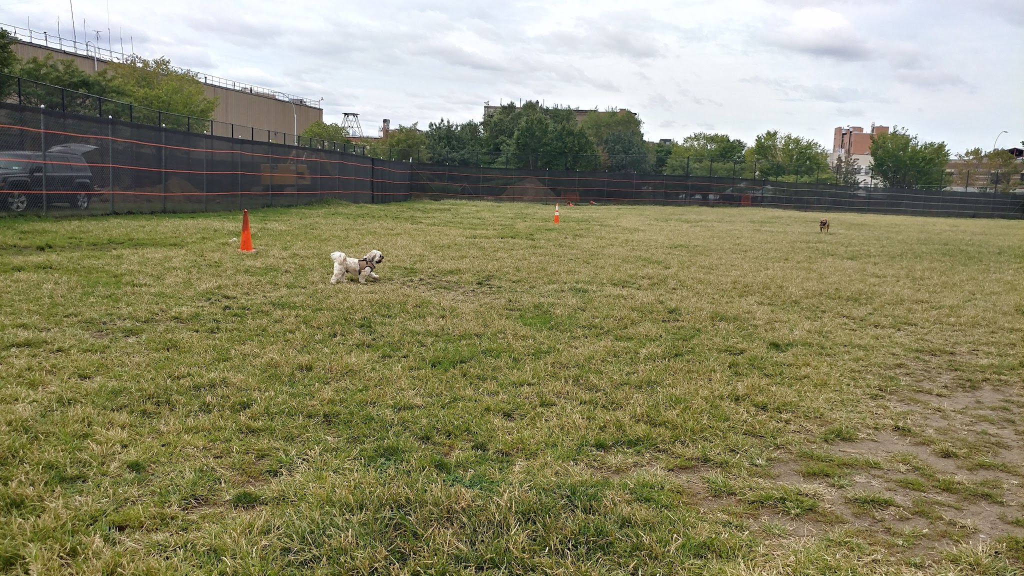 Green Central Knoll - Brooklyn, NY