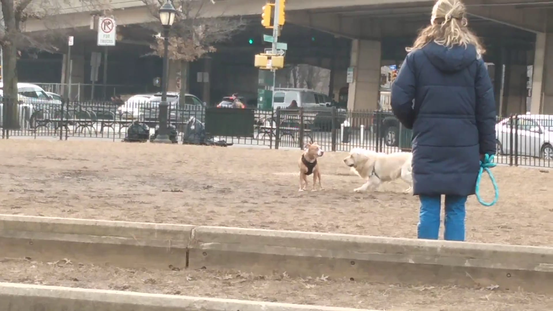 Macri Triangle - Brooklyn, NY