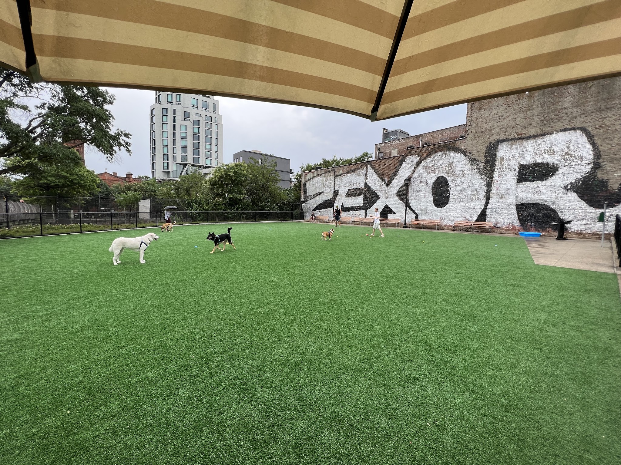 Marcy Green Dog Park - Brooklyn, NY