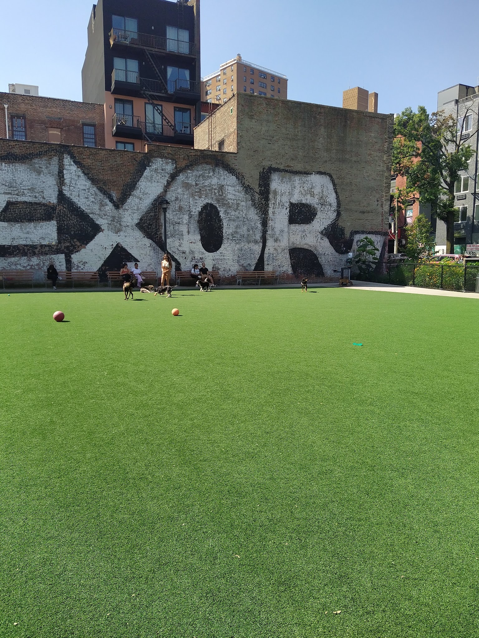 Marcy Green Dog Park - Brooklyn, NY