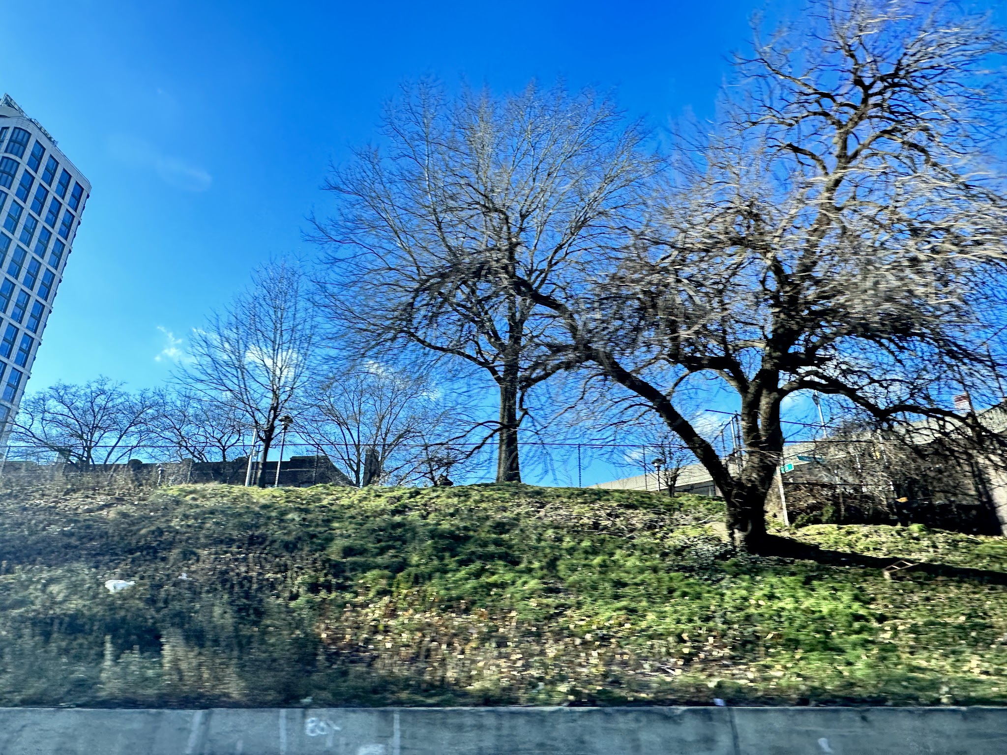Marcy Green North - Brooklyn, NY