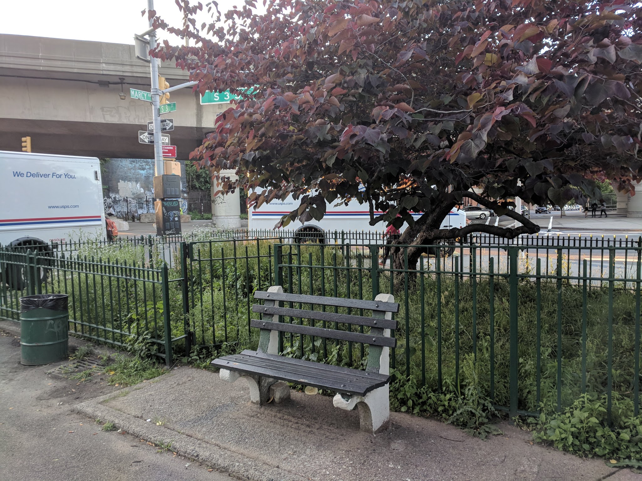 Marcy Green North - Brooklyn, NY